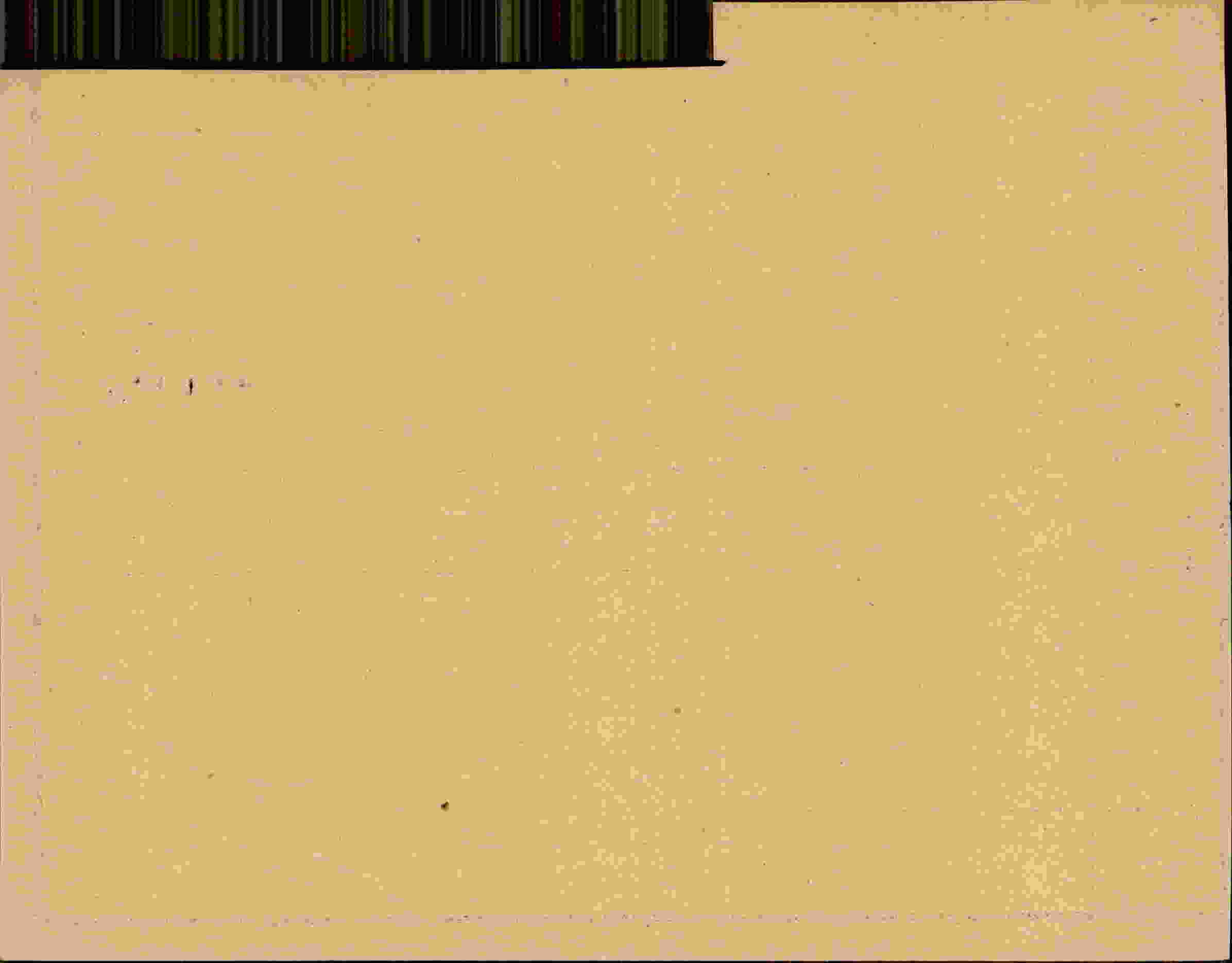 Rückseite des Dokuments