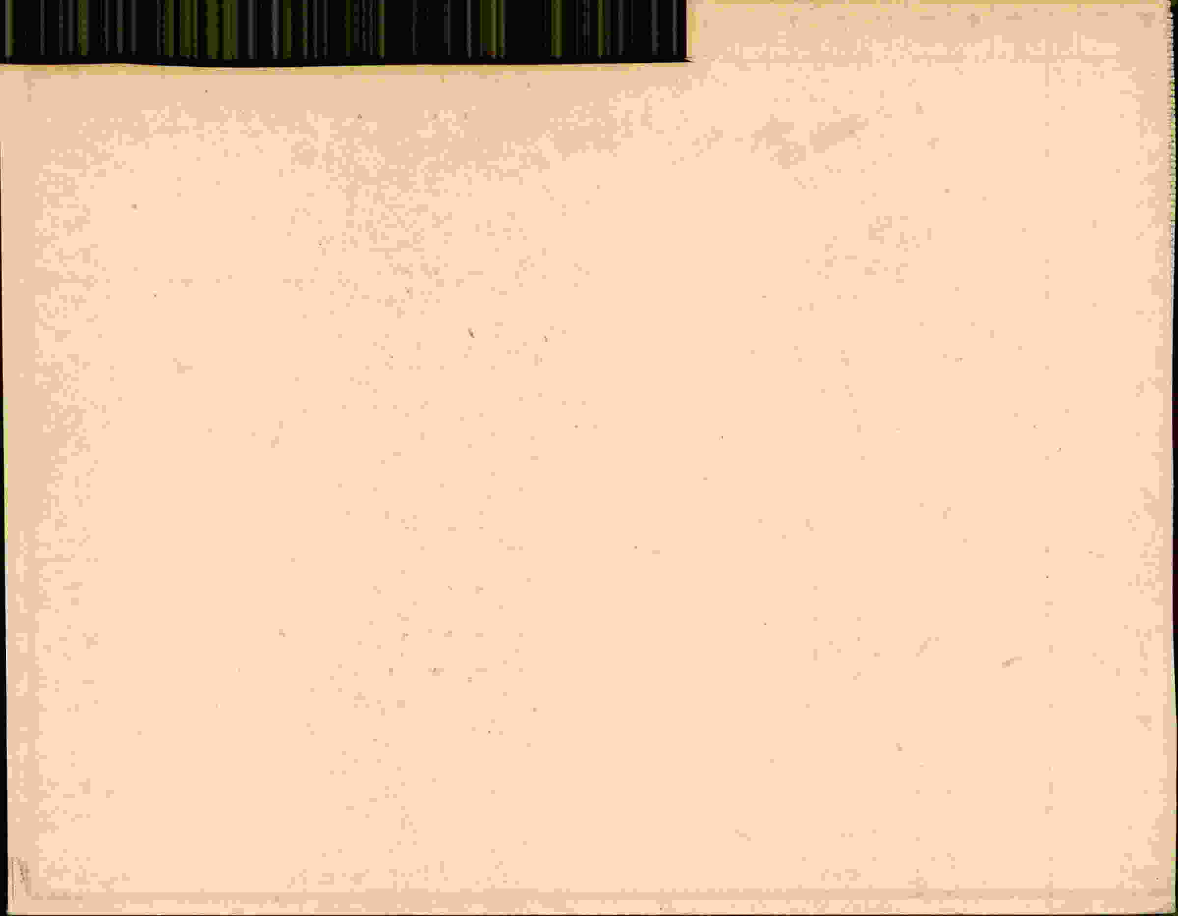 Rückseite des Dokuments