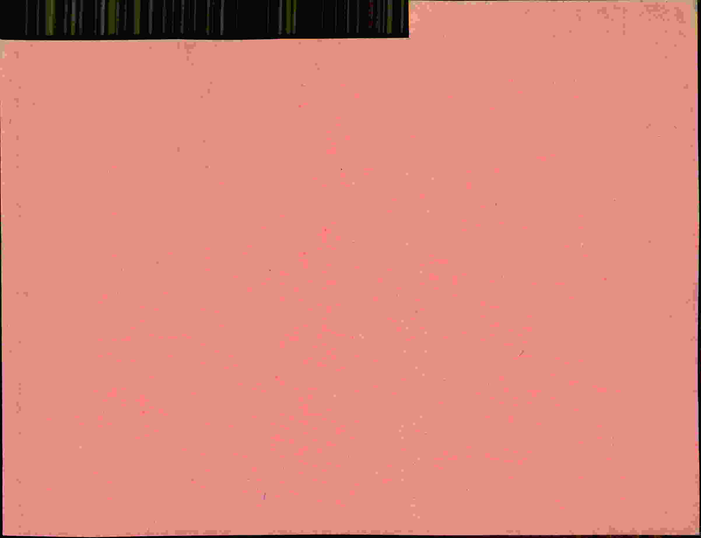 Rückseite des Dokuments
