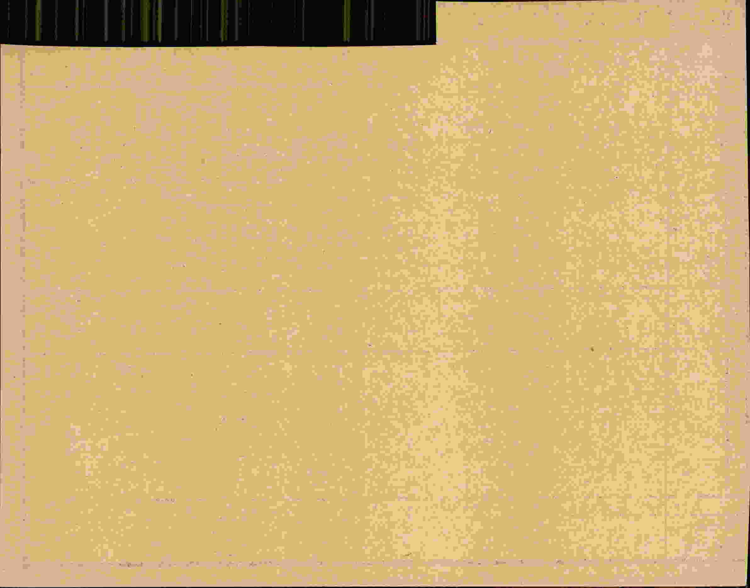 Rückseite des Dokuments
