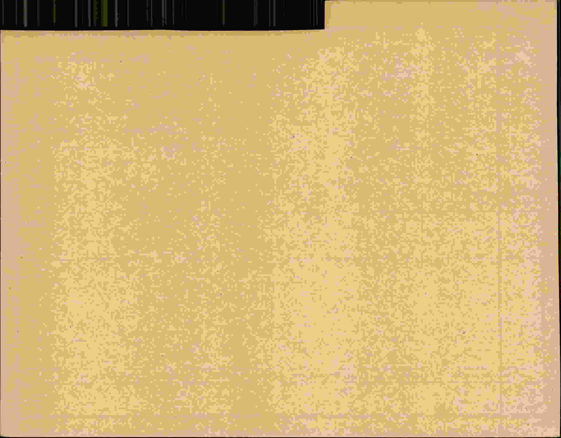 Rückseite des Dokuments