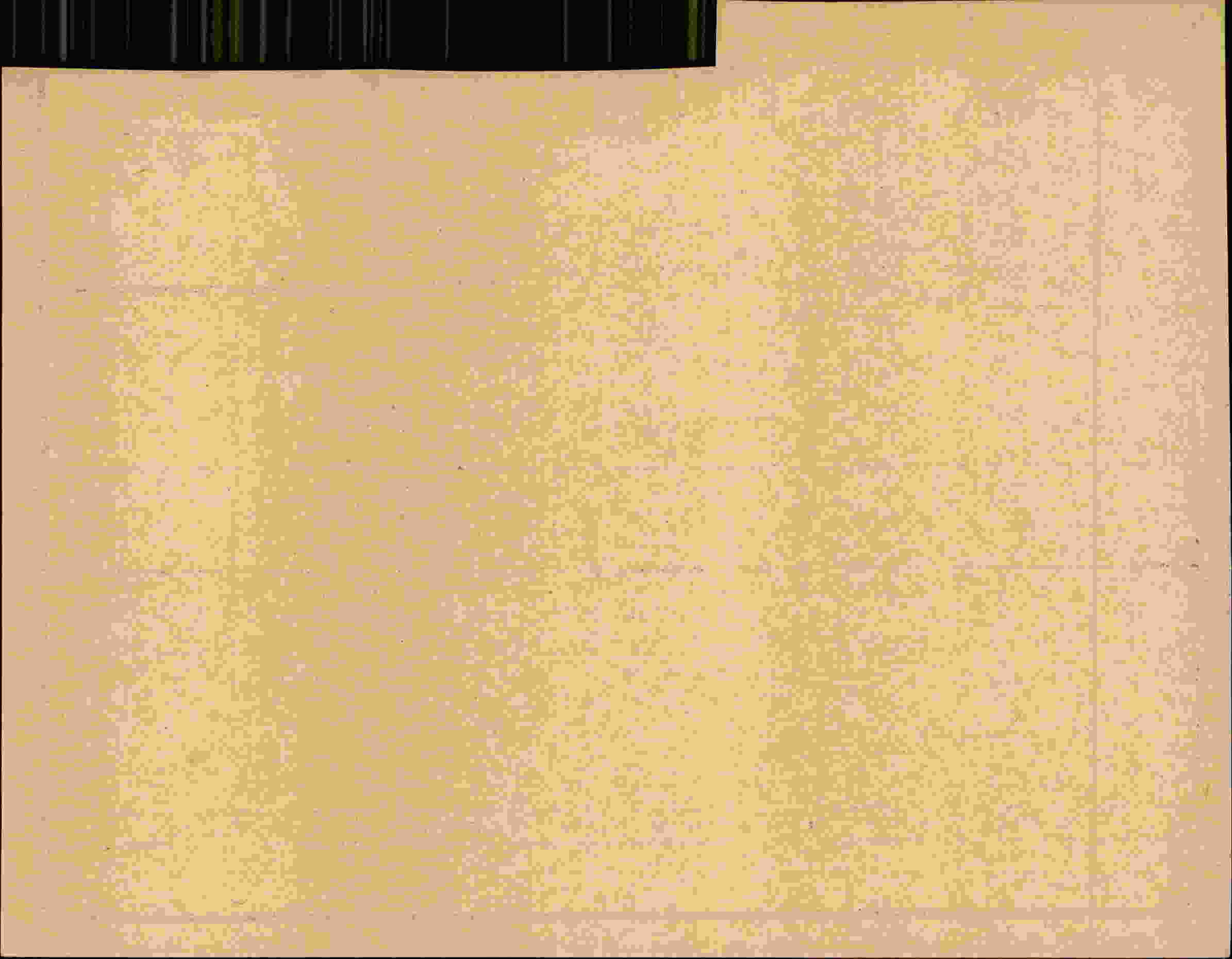 Rückseite des Dokuments