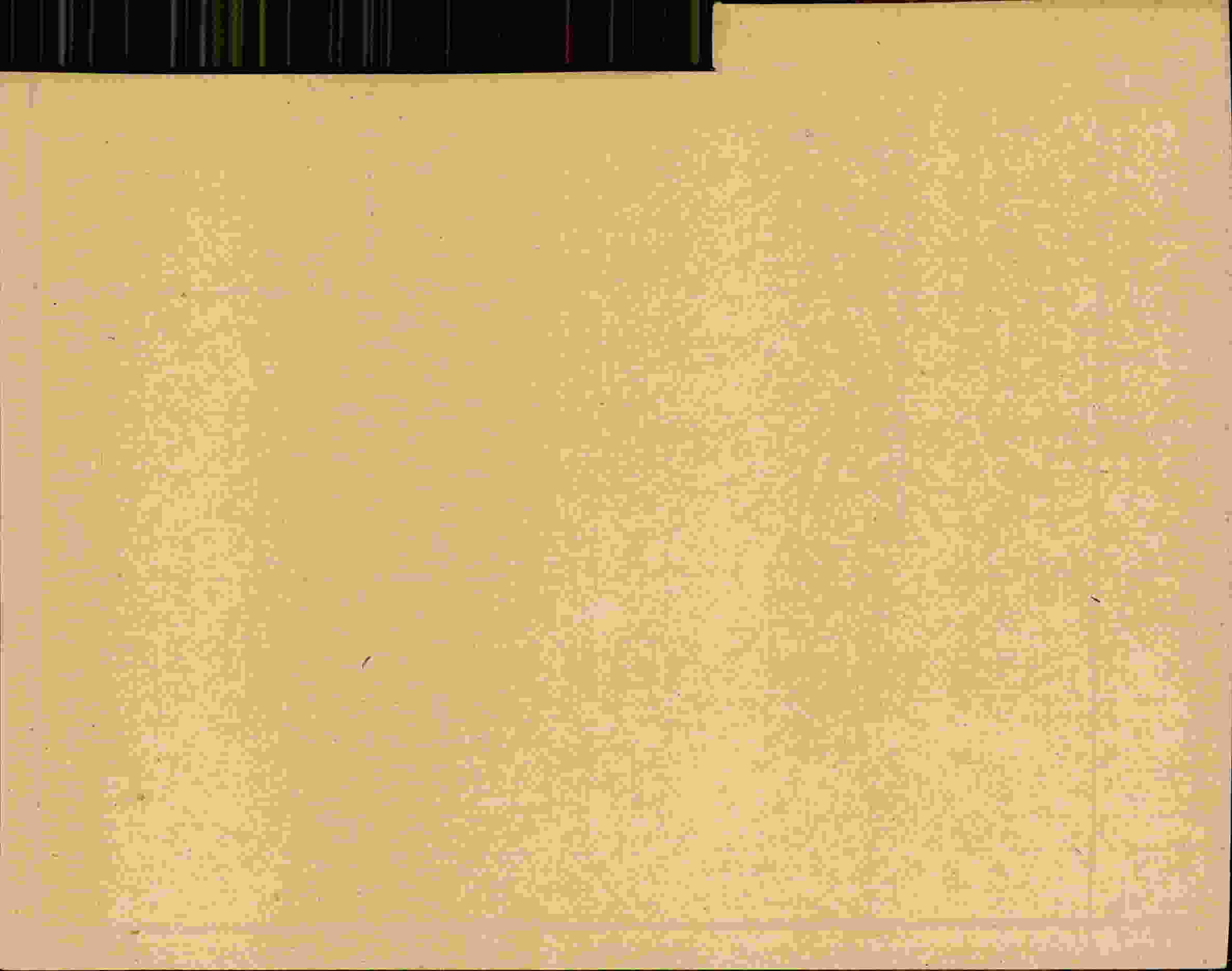 Rückseite des Dokuments