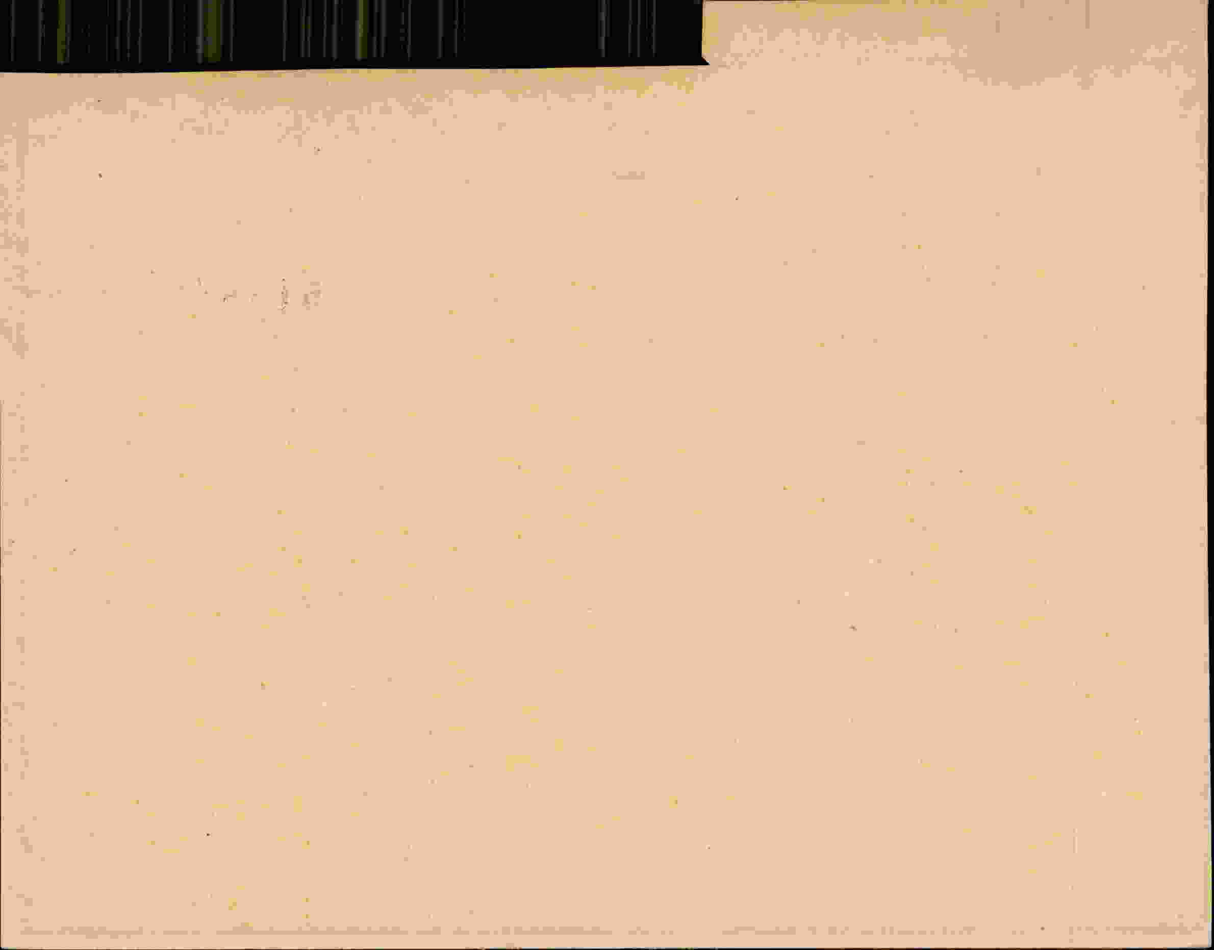 Rückseite des Dokuments