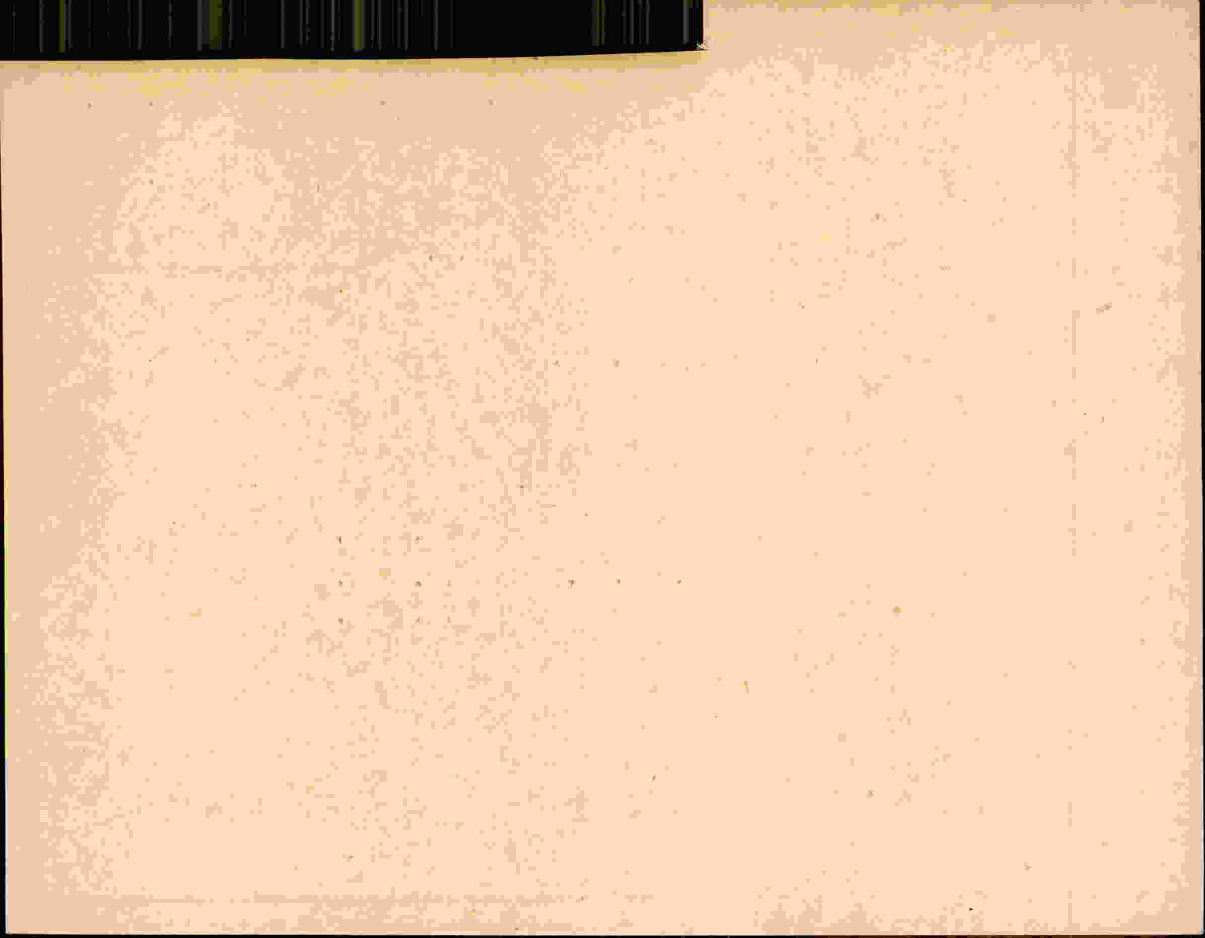 Rückseite des Dokuments