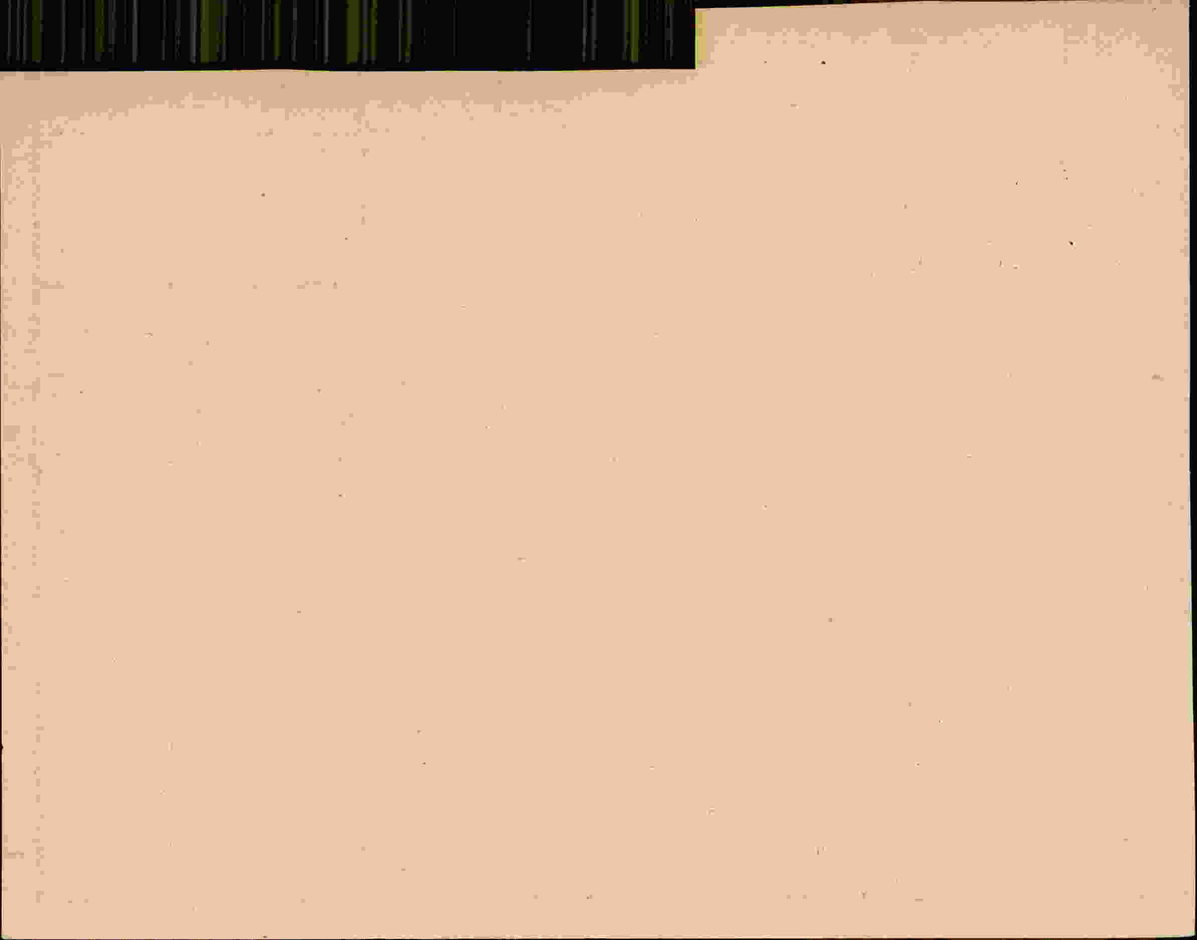 Rückseite des Dokuments
