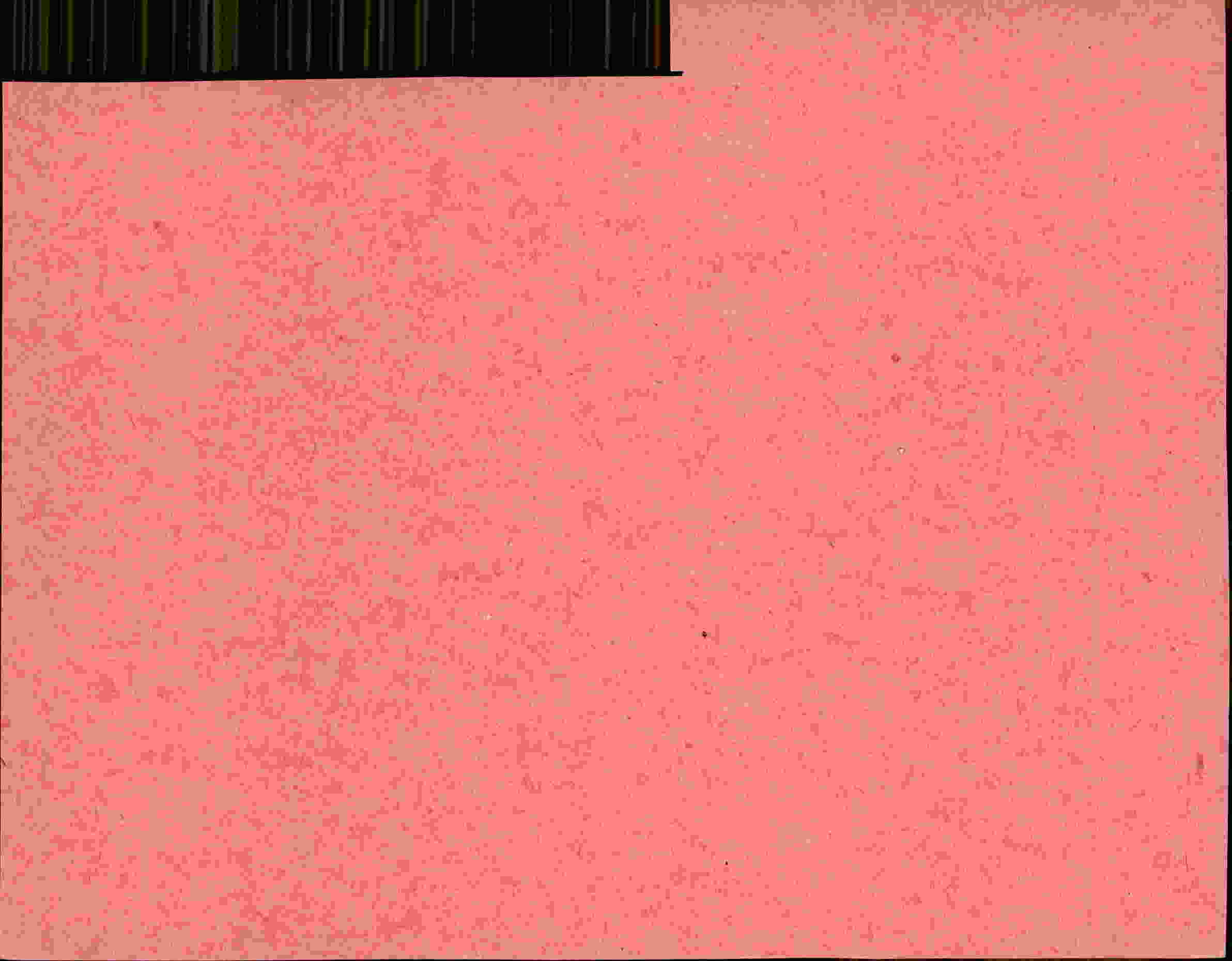Rückseite des Dokuments