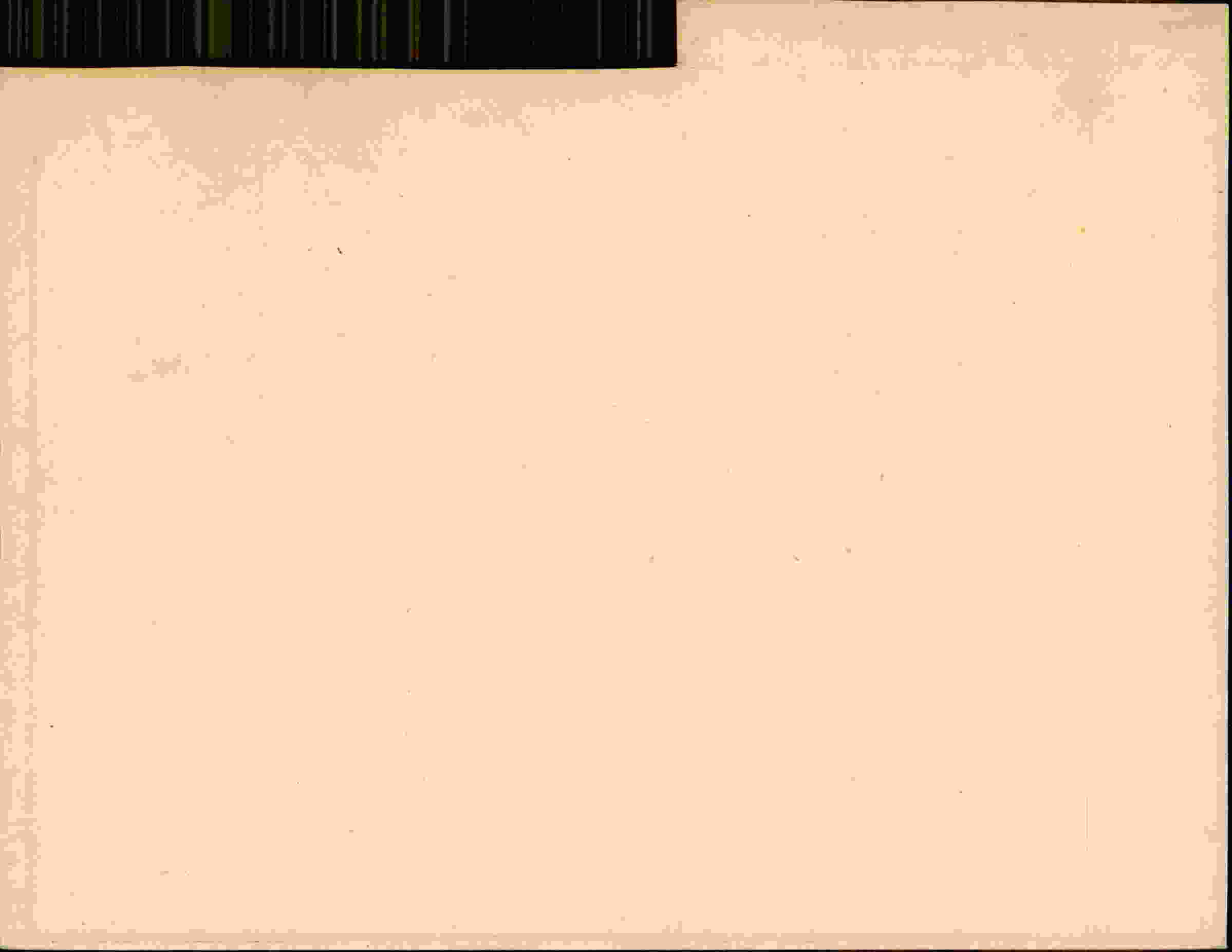 Rückseite des Dokuments