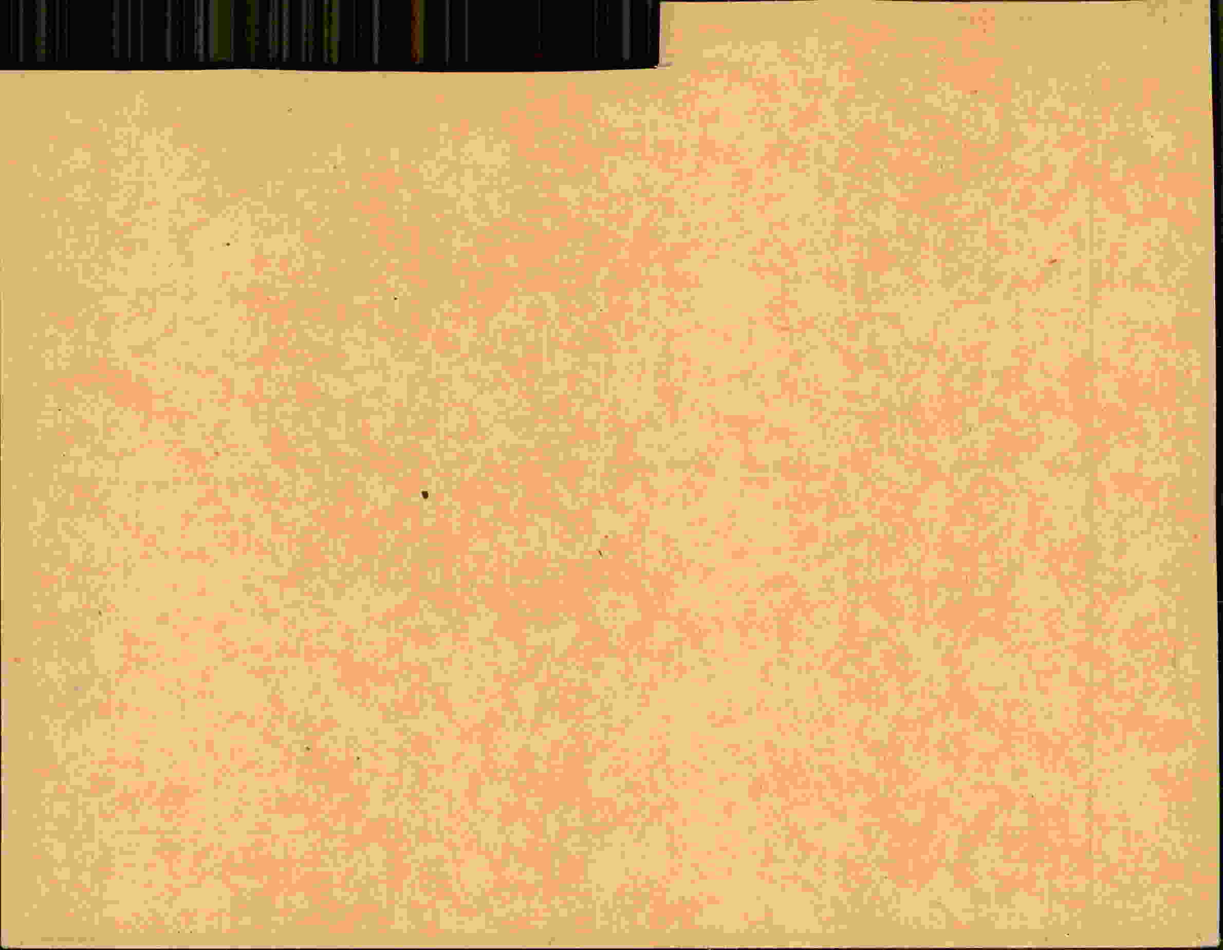 Rückseite des Dokuments