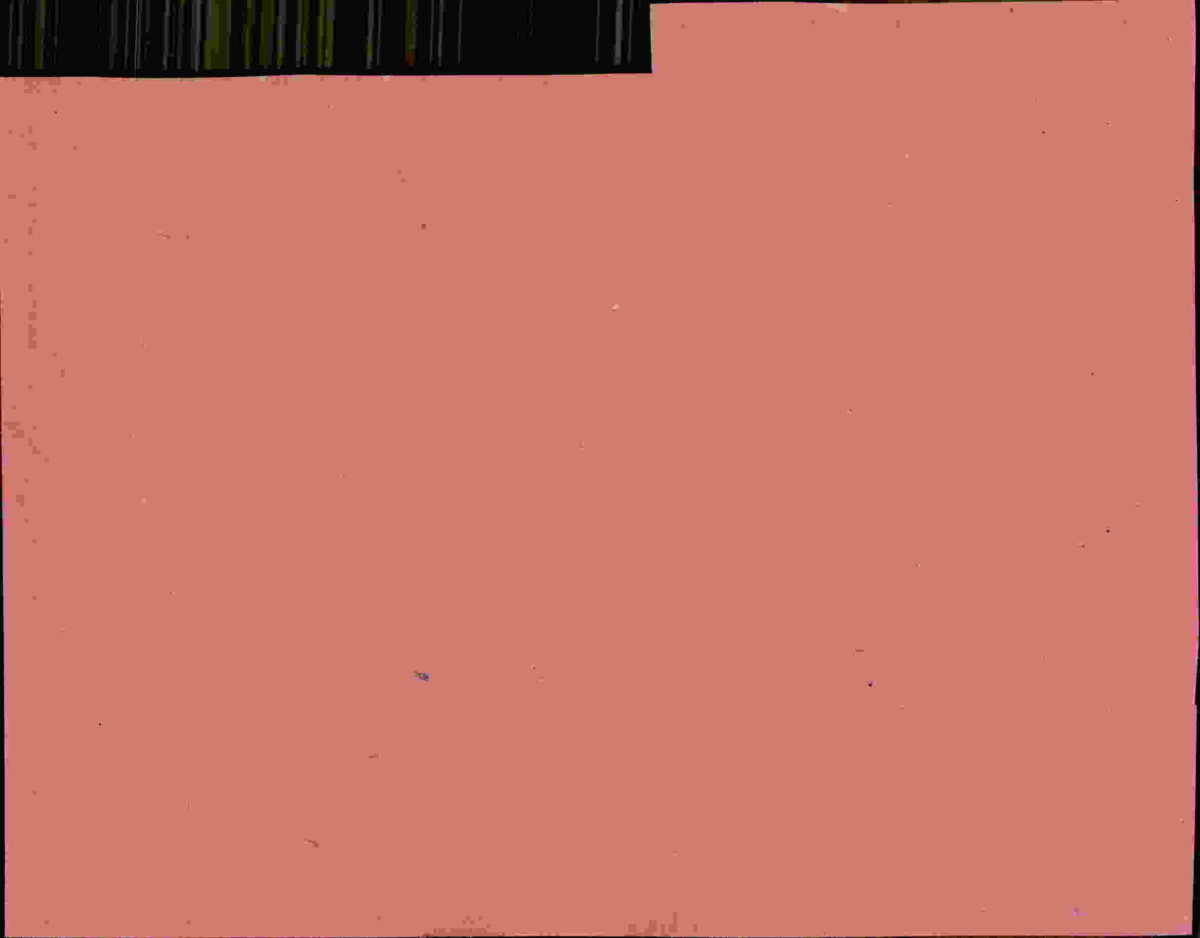 Rückseite des Dokuments