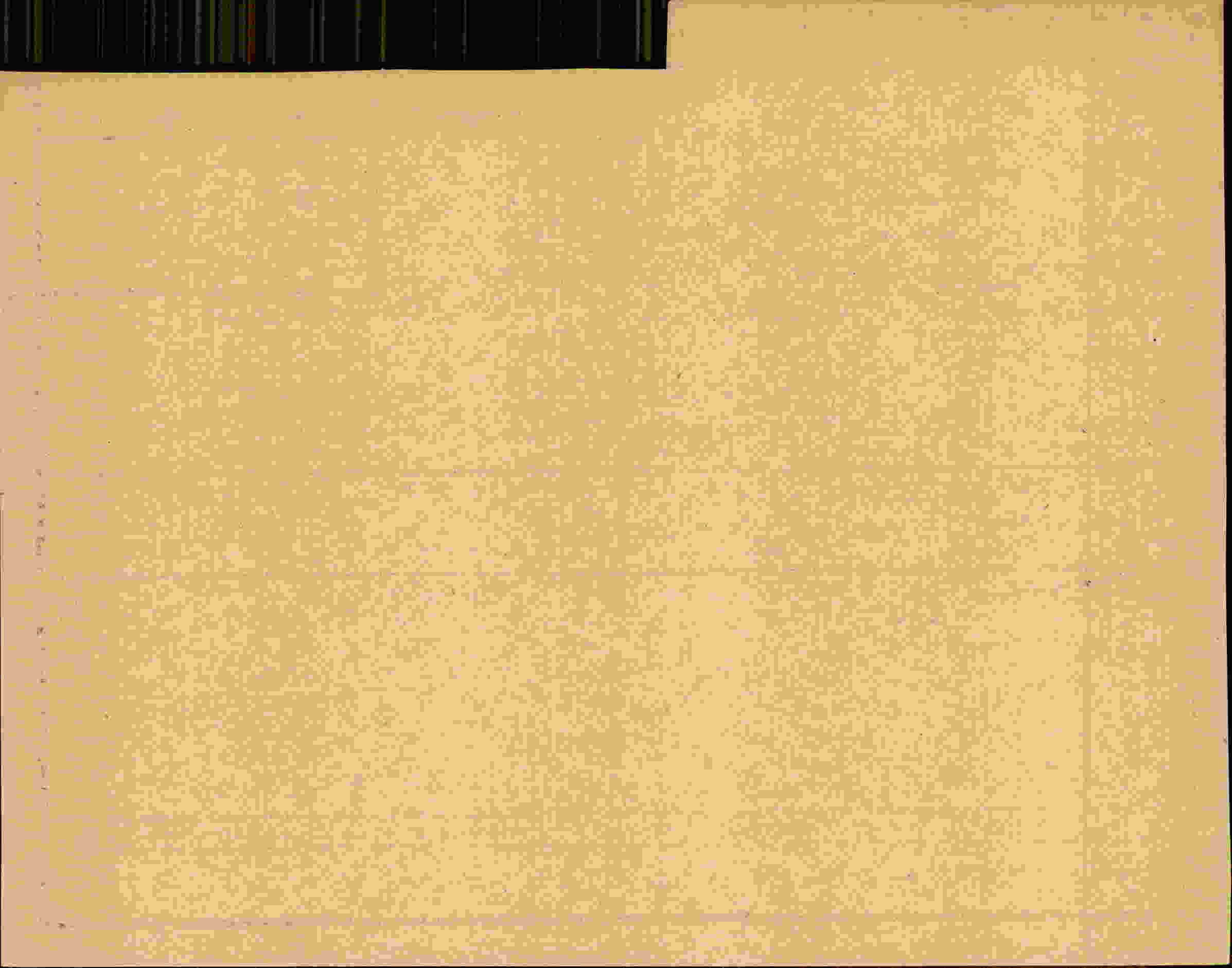 Rückseite des Dokuments
