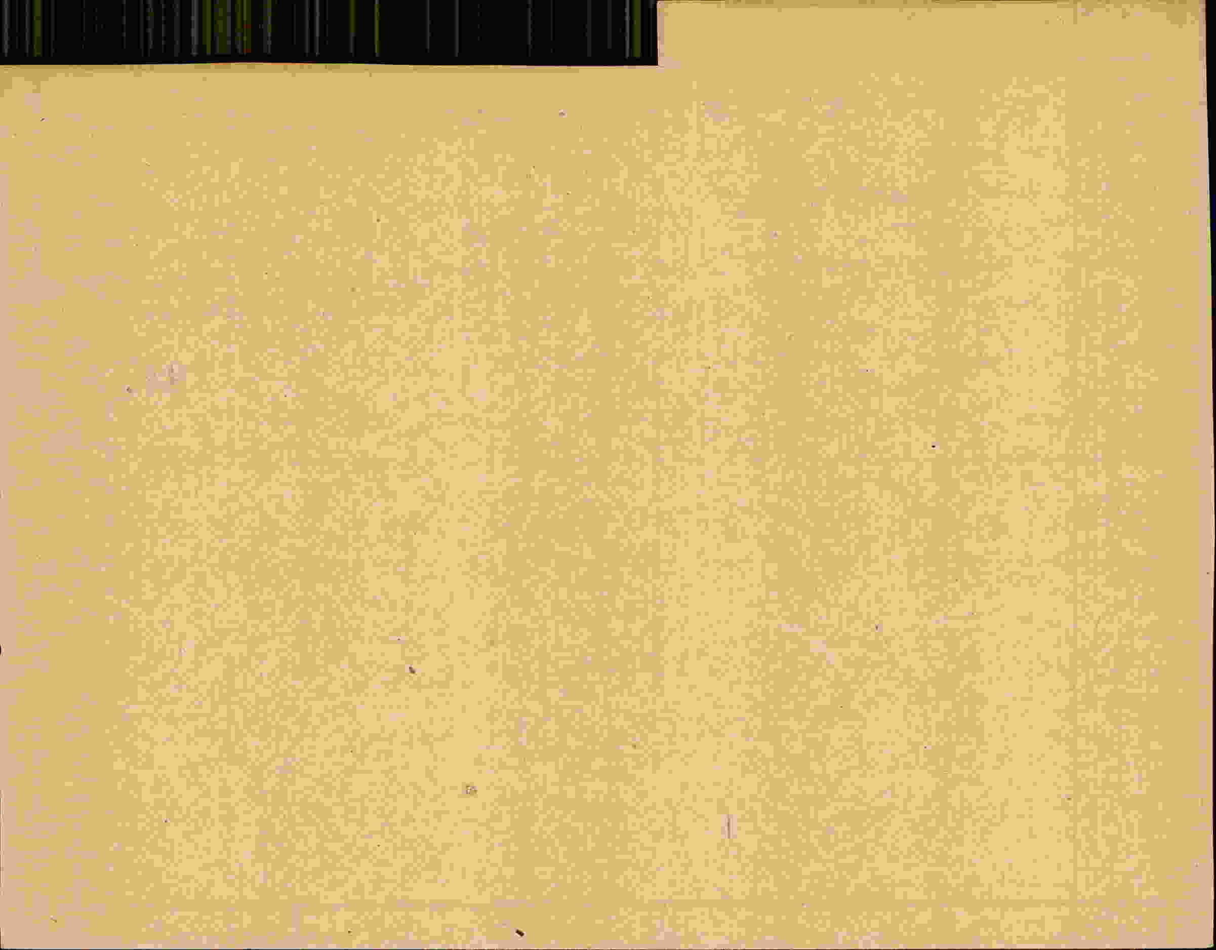 Rückseite des Dokuments