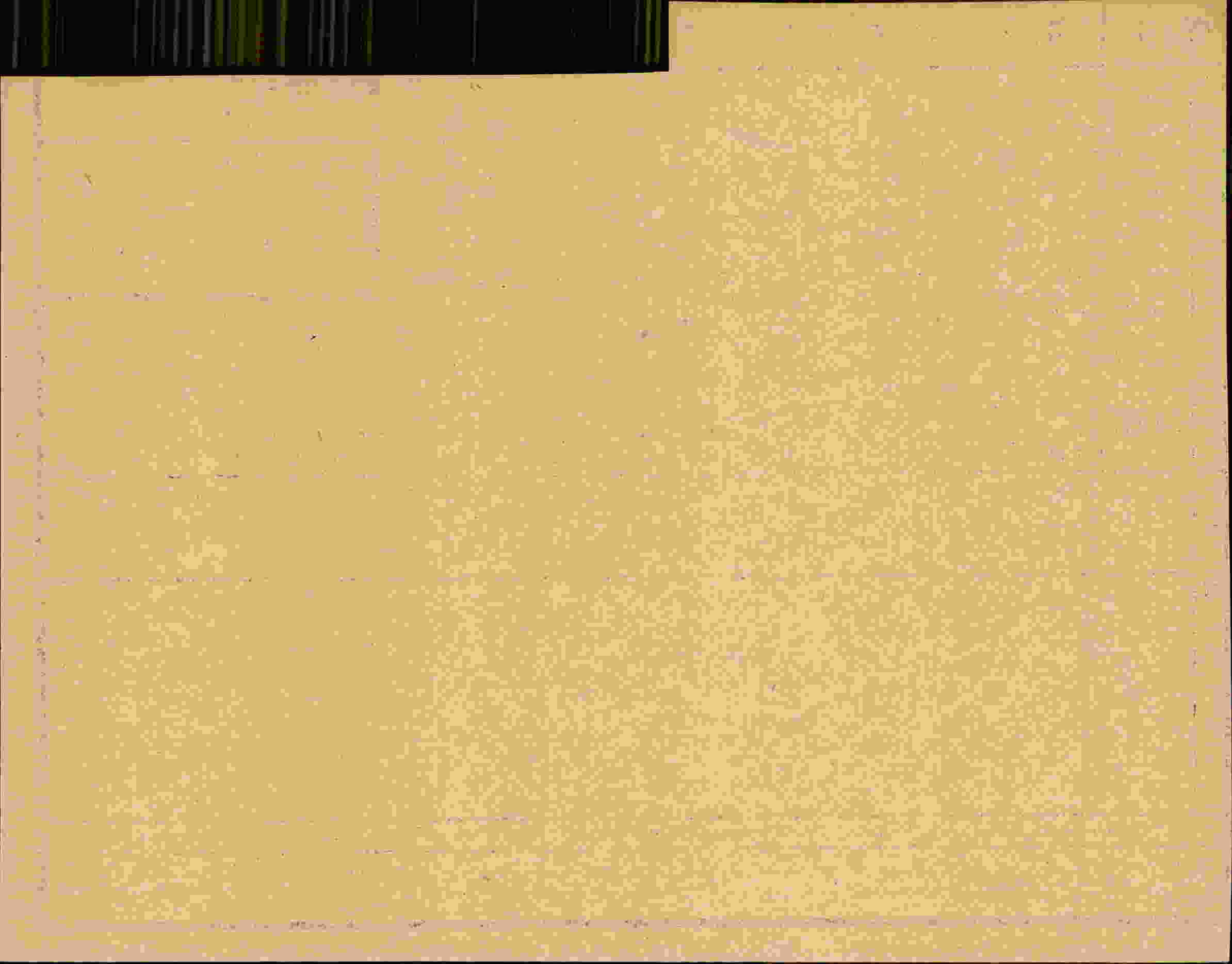 Rückseite des Dokuments