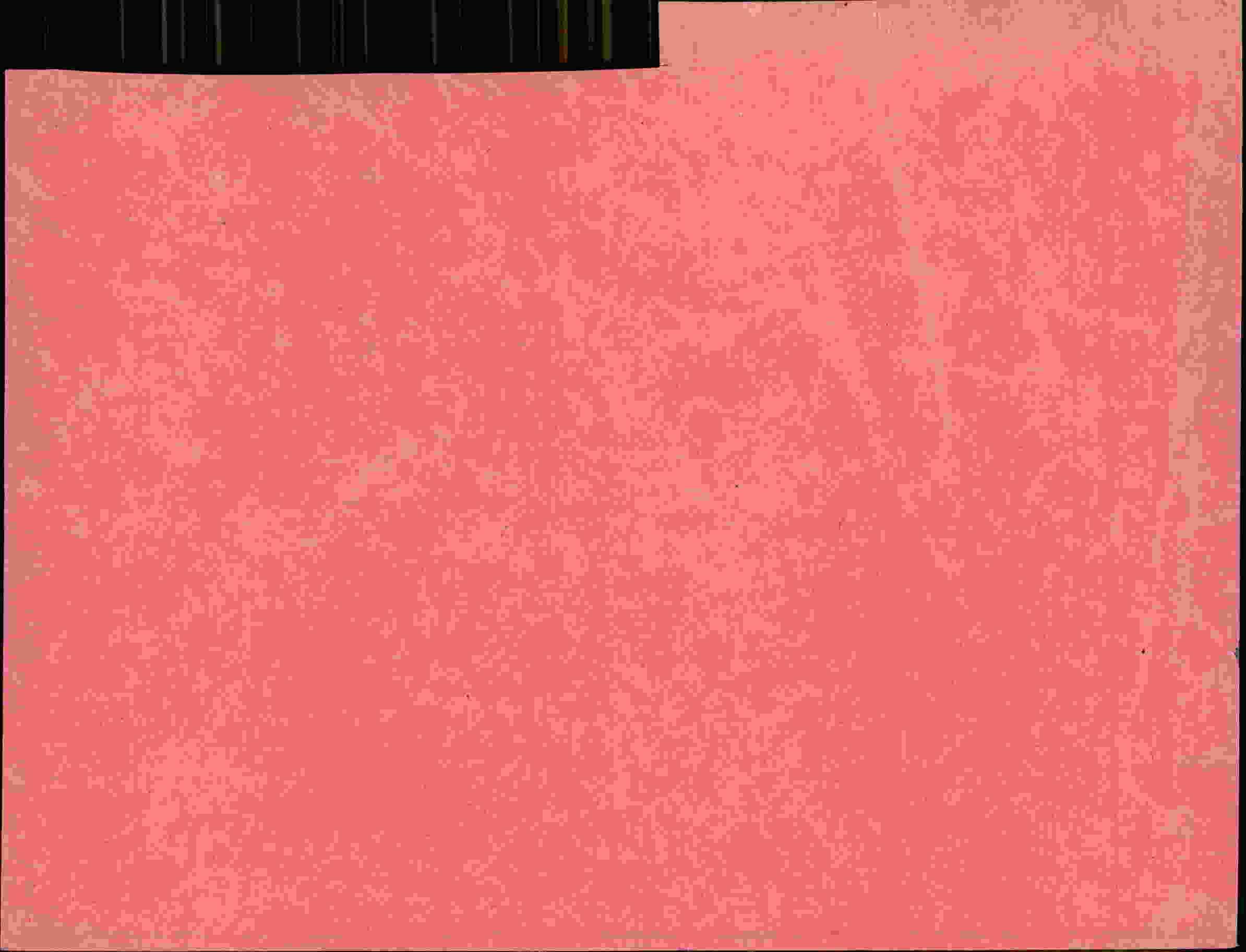 Rückseite des Dokuments