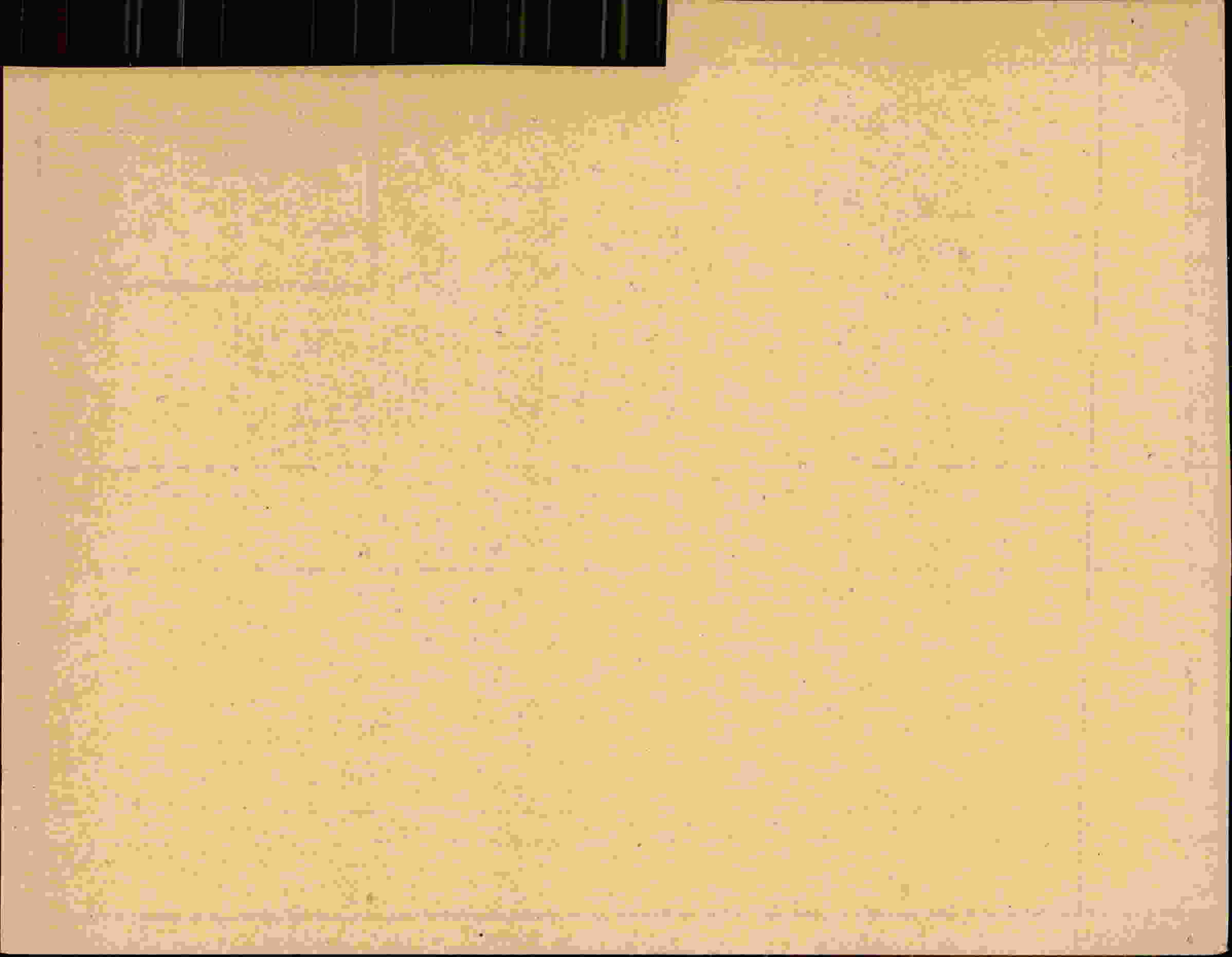 Rückseite des Dokuments