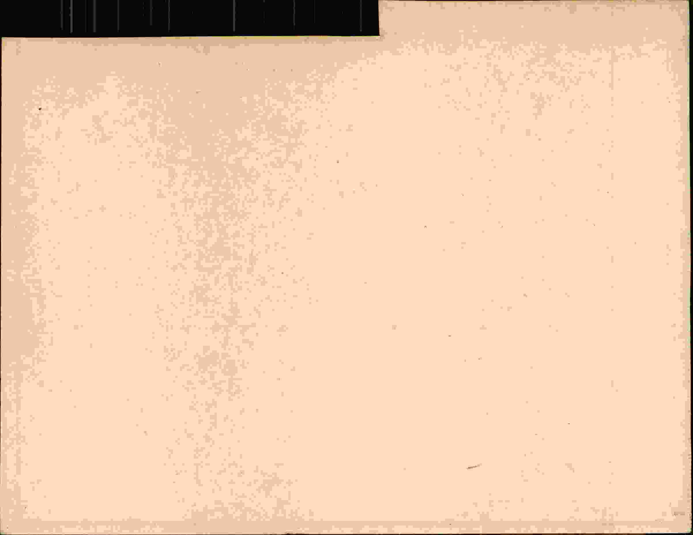 Rückseite des Dokuments