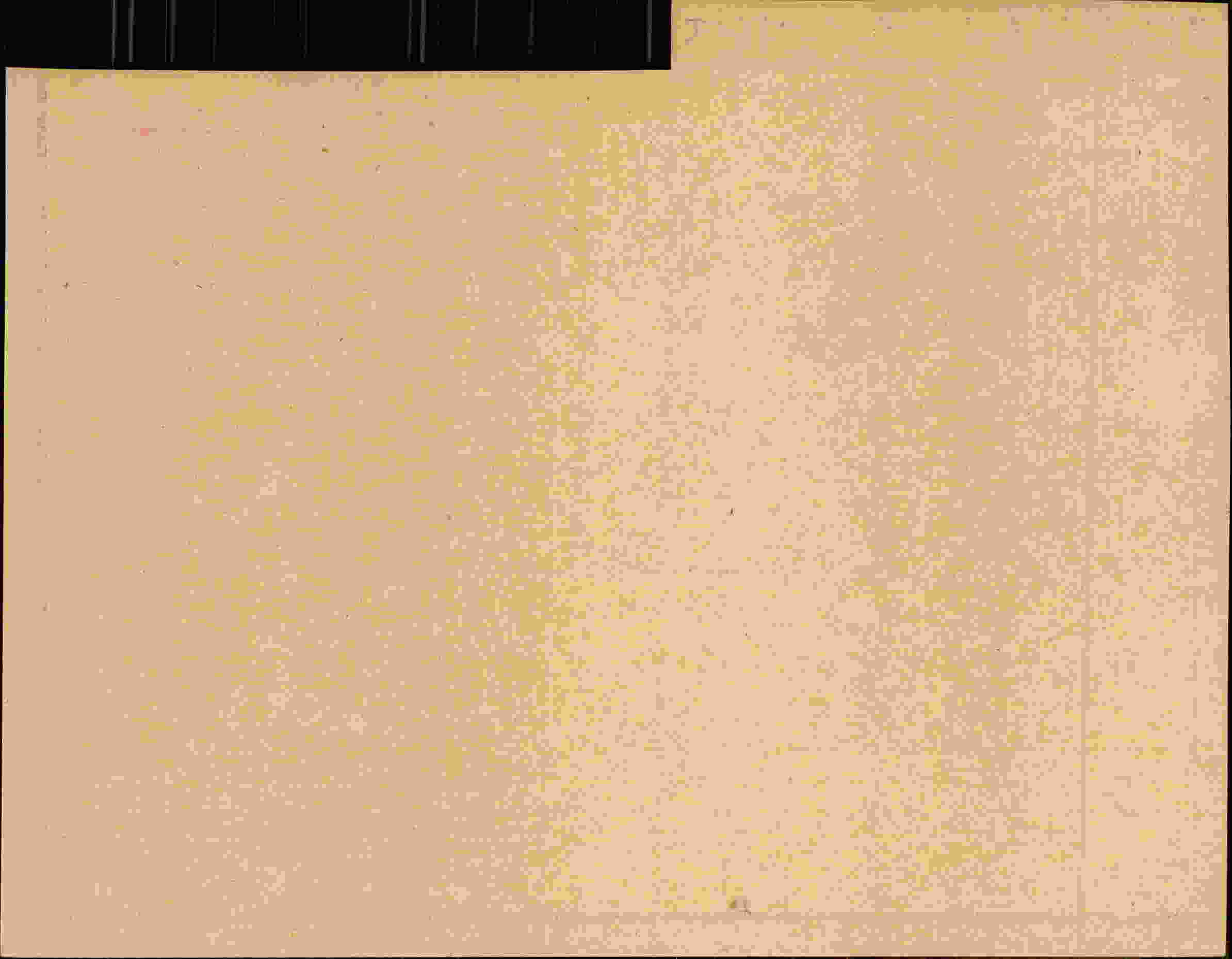 Rückseite des Dokuments
