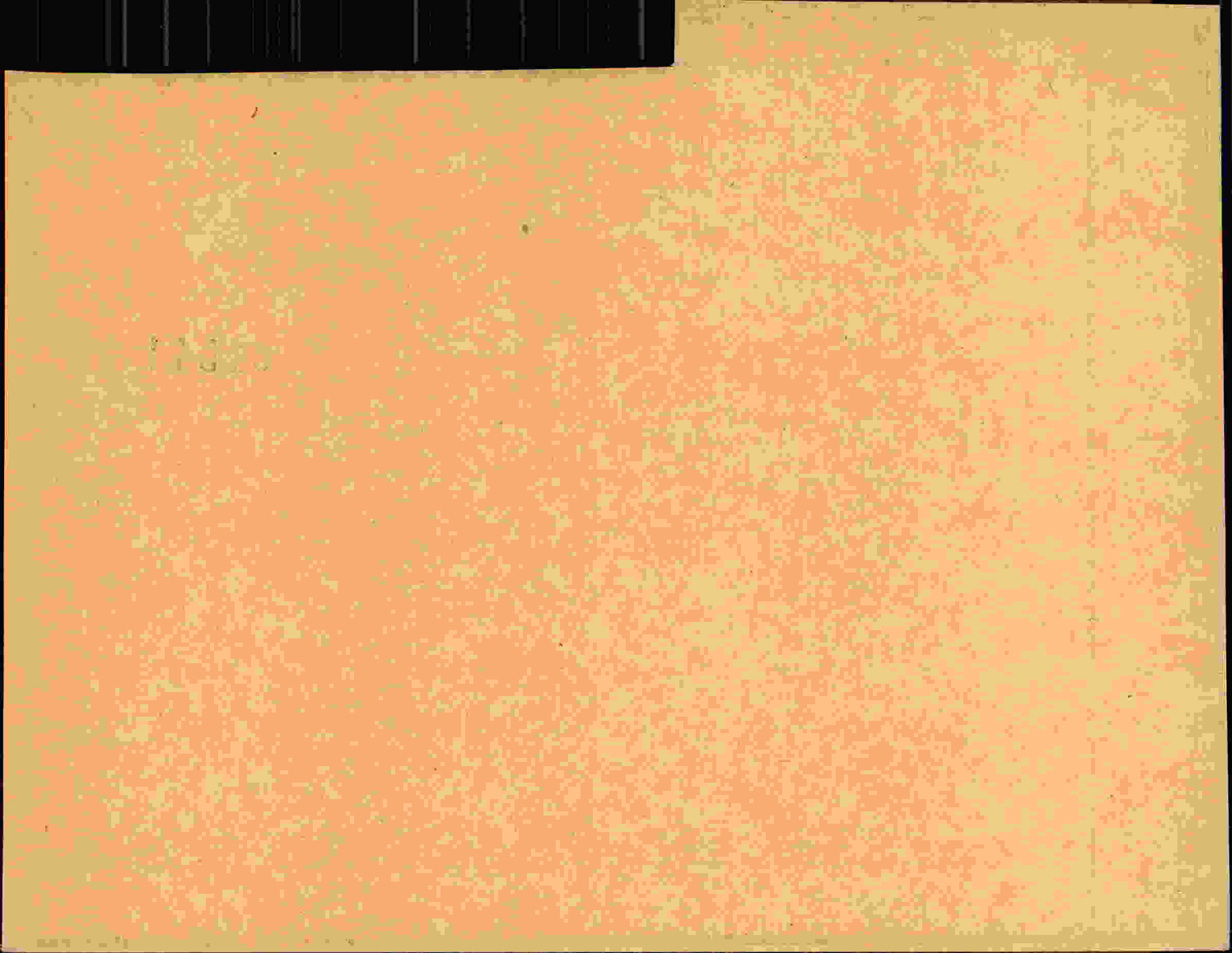 Rückseite des Dokuments