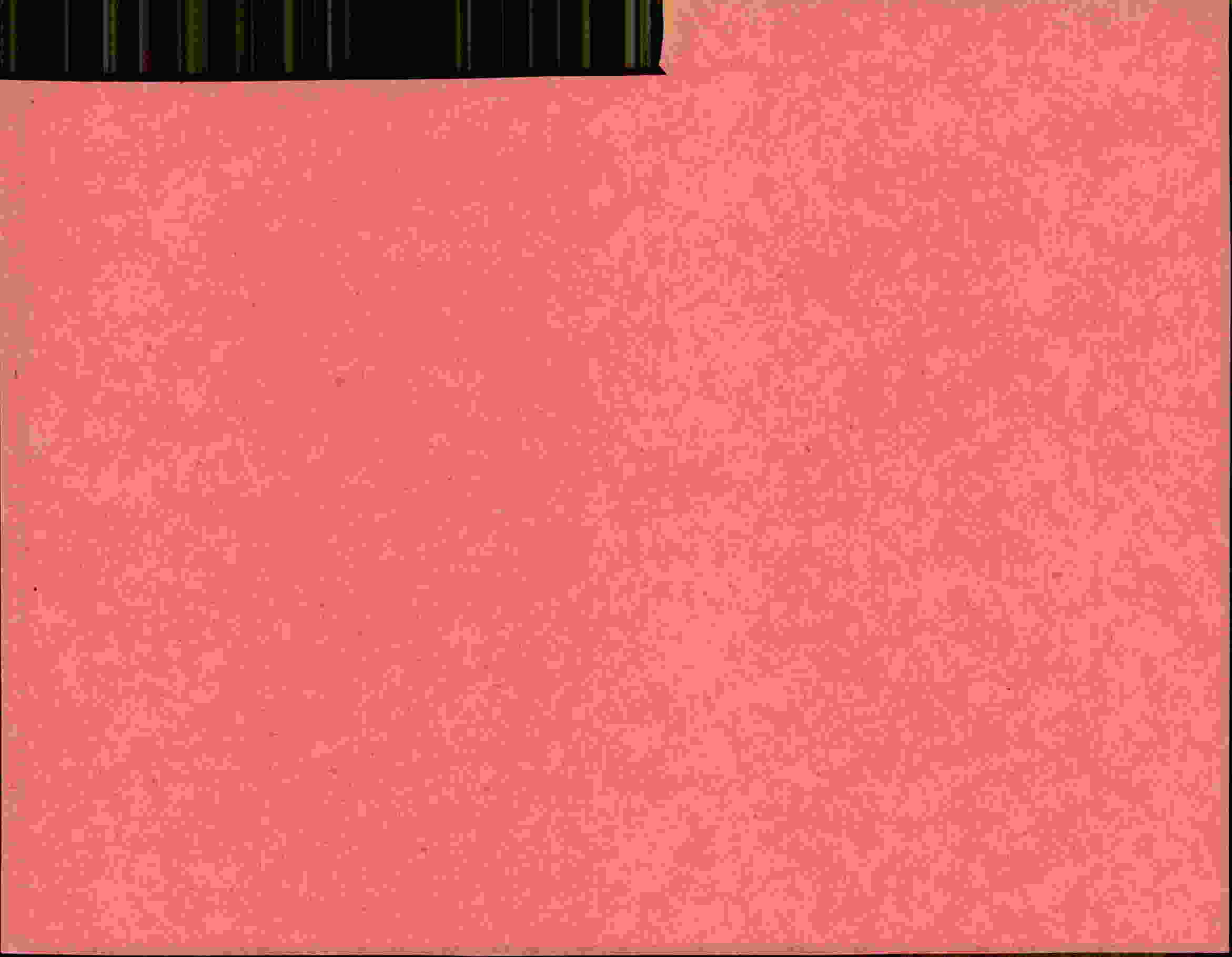 Rückseite des Dokuments