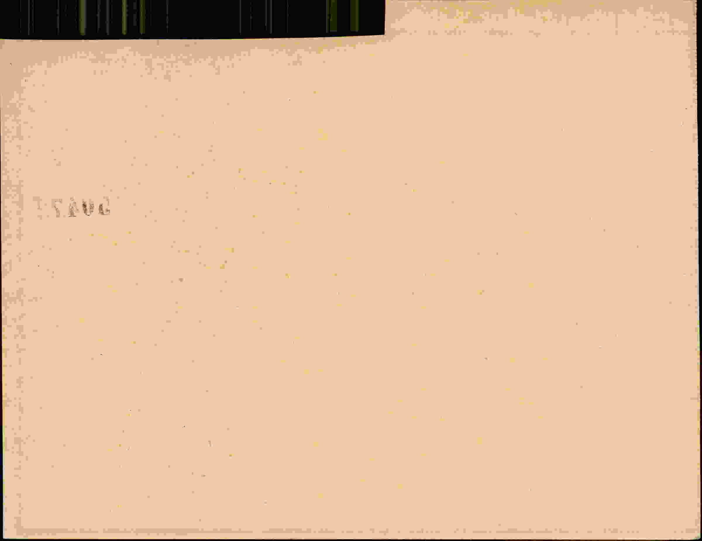 Rückseite des Dokuments