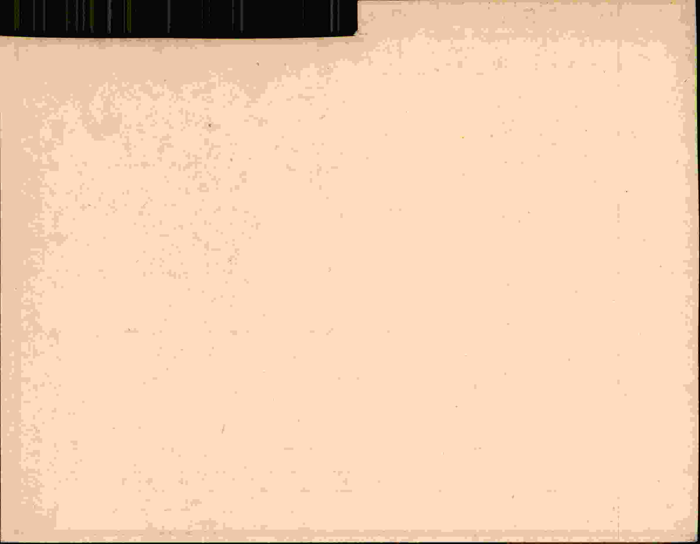 Rückseite des Dokuments