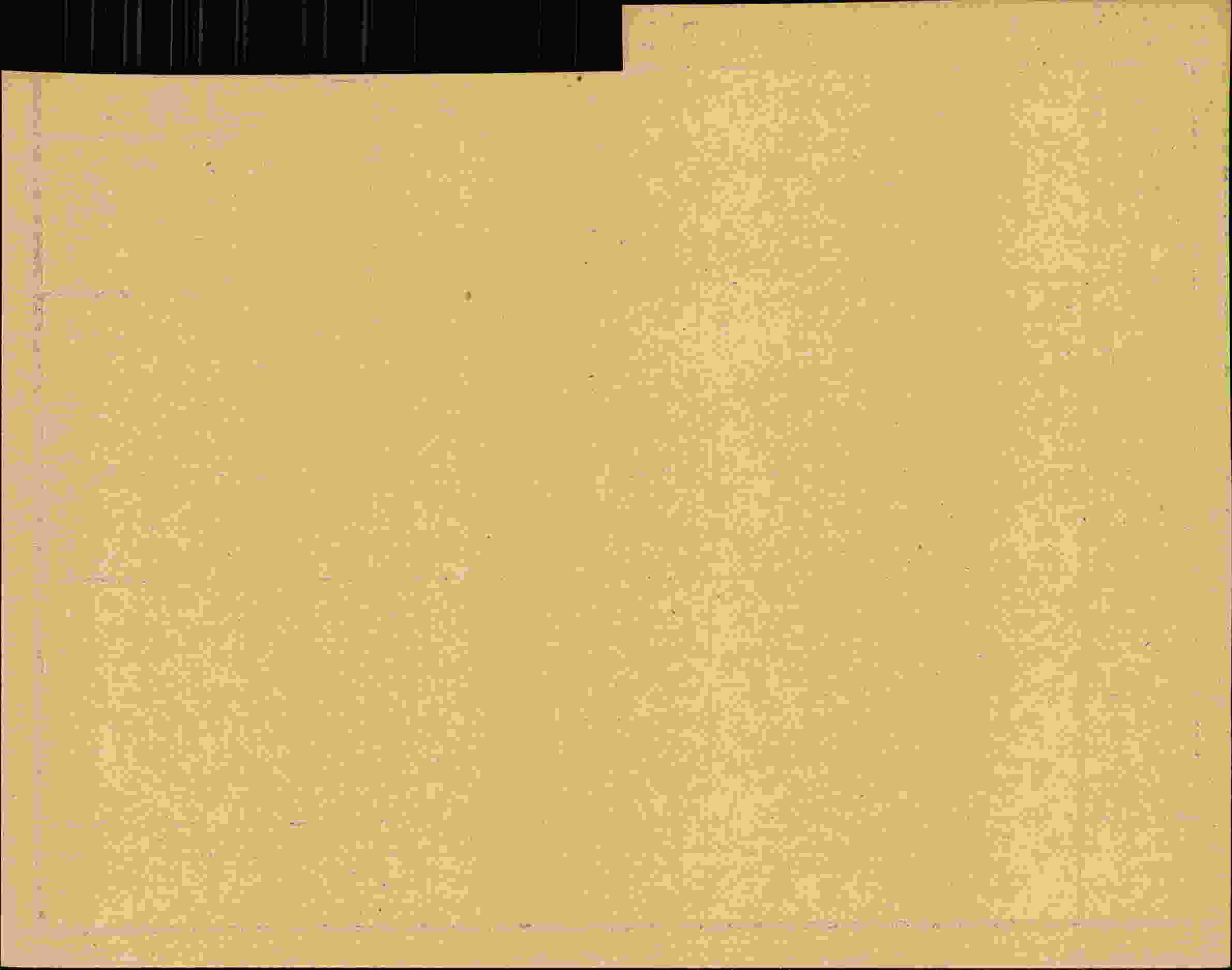 Rückseite des Dokuments