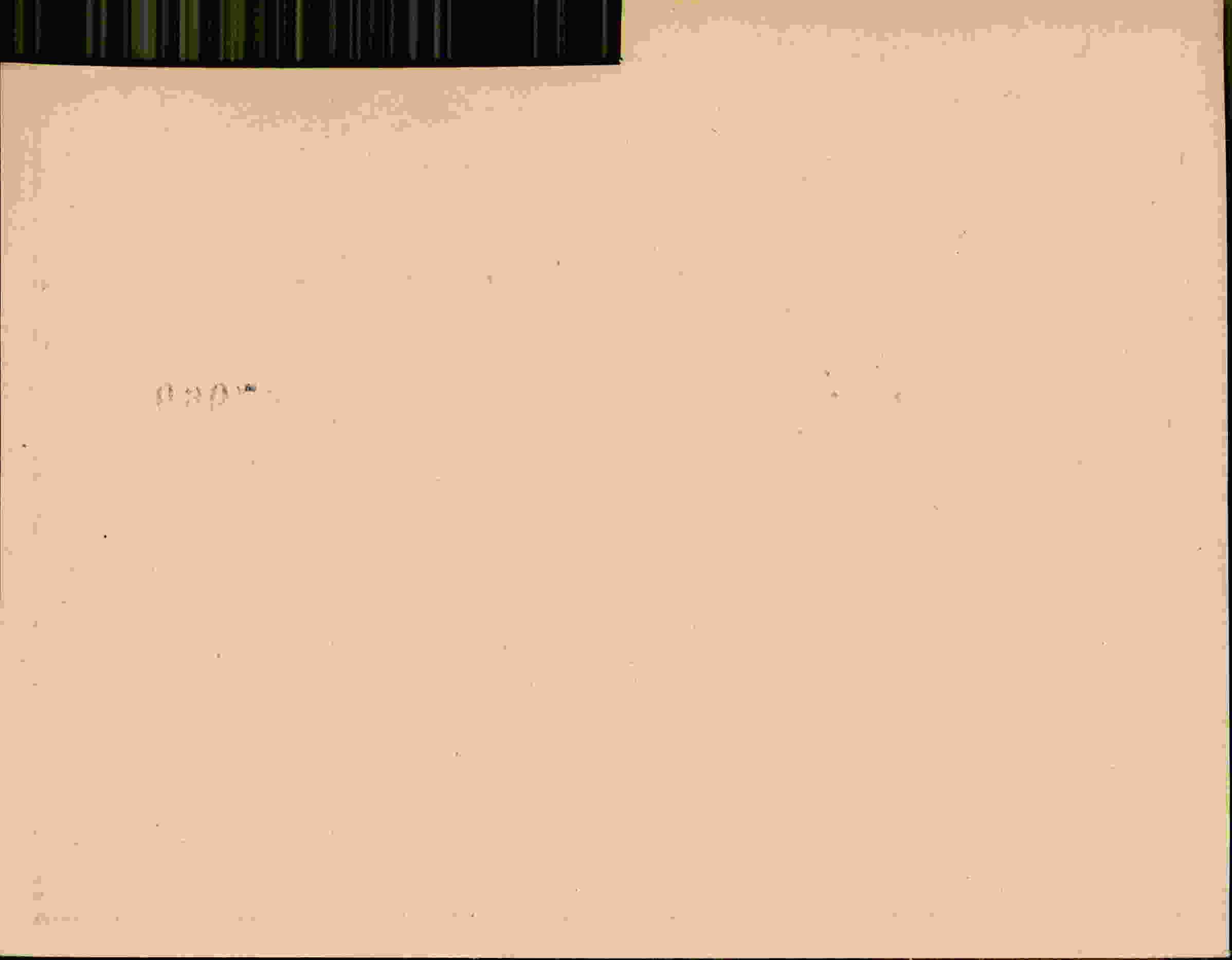 Rückseite des Dokuments
