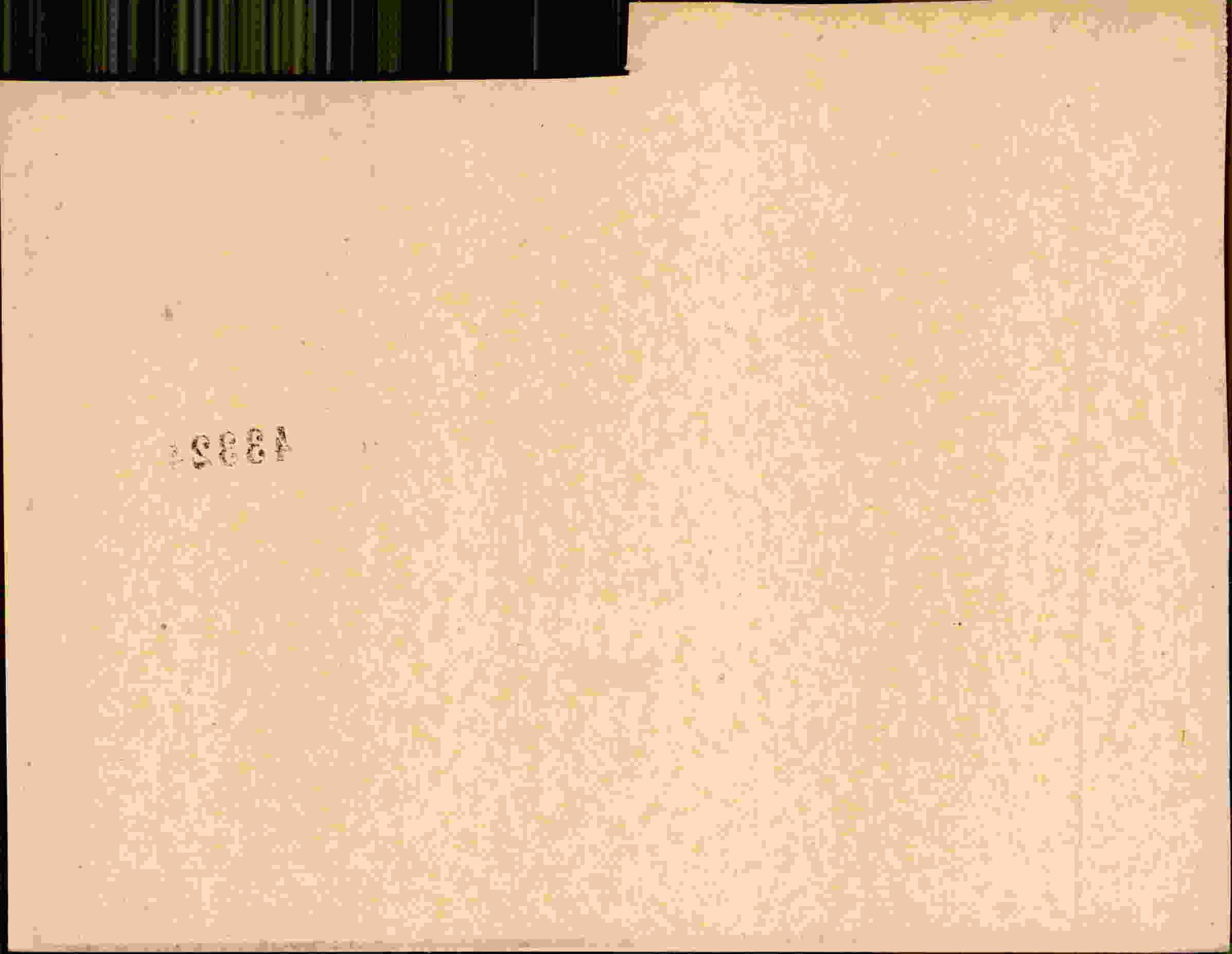 Rückseite des Dokuments