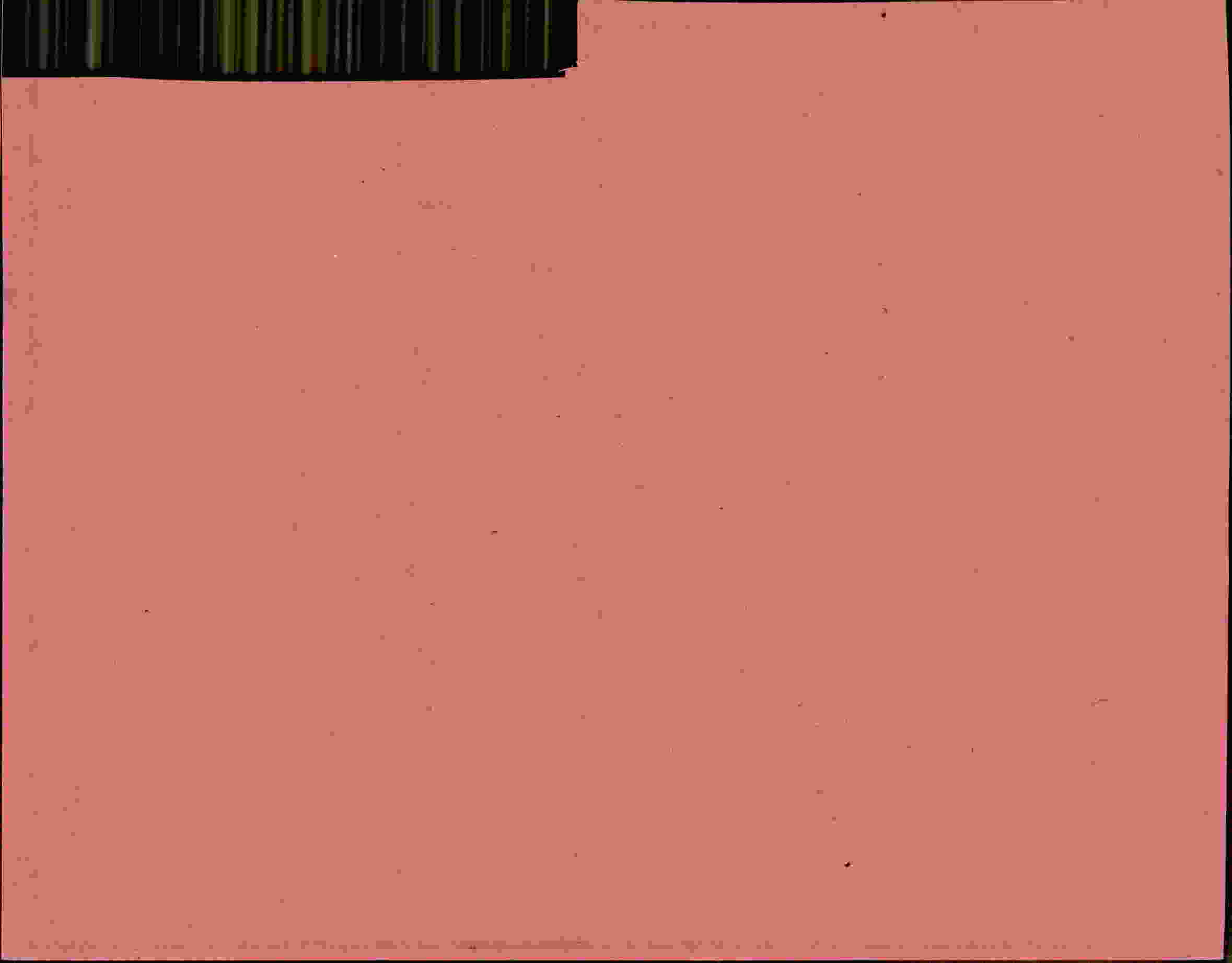 Rückseite des Dokuments