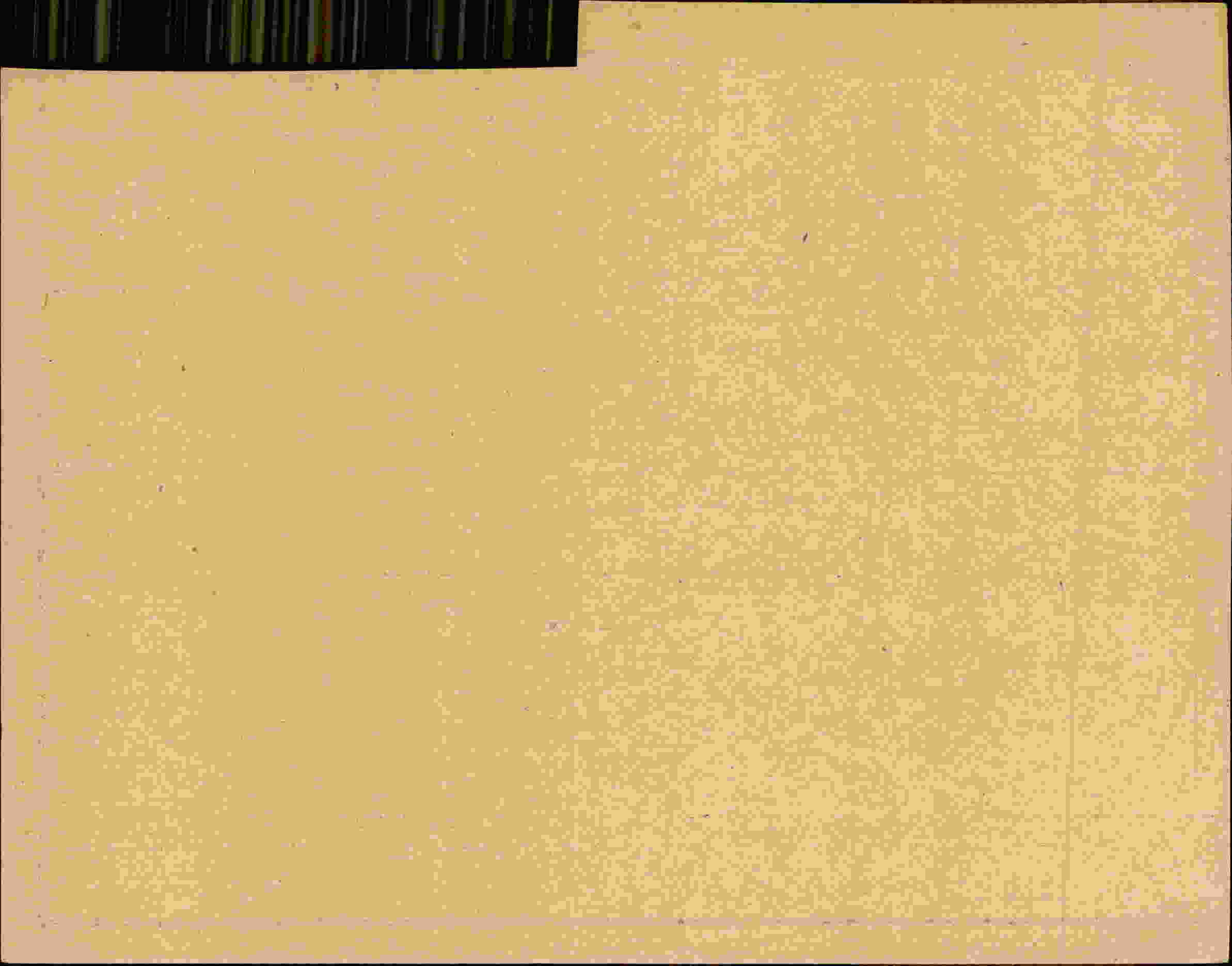 Rückseite des Dokuments