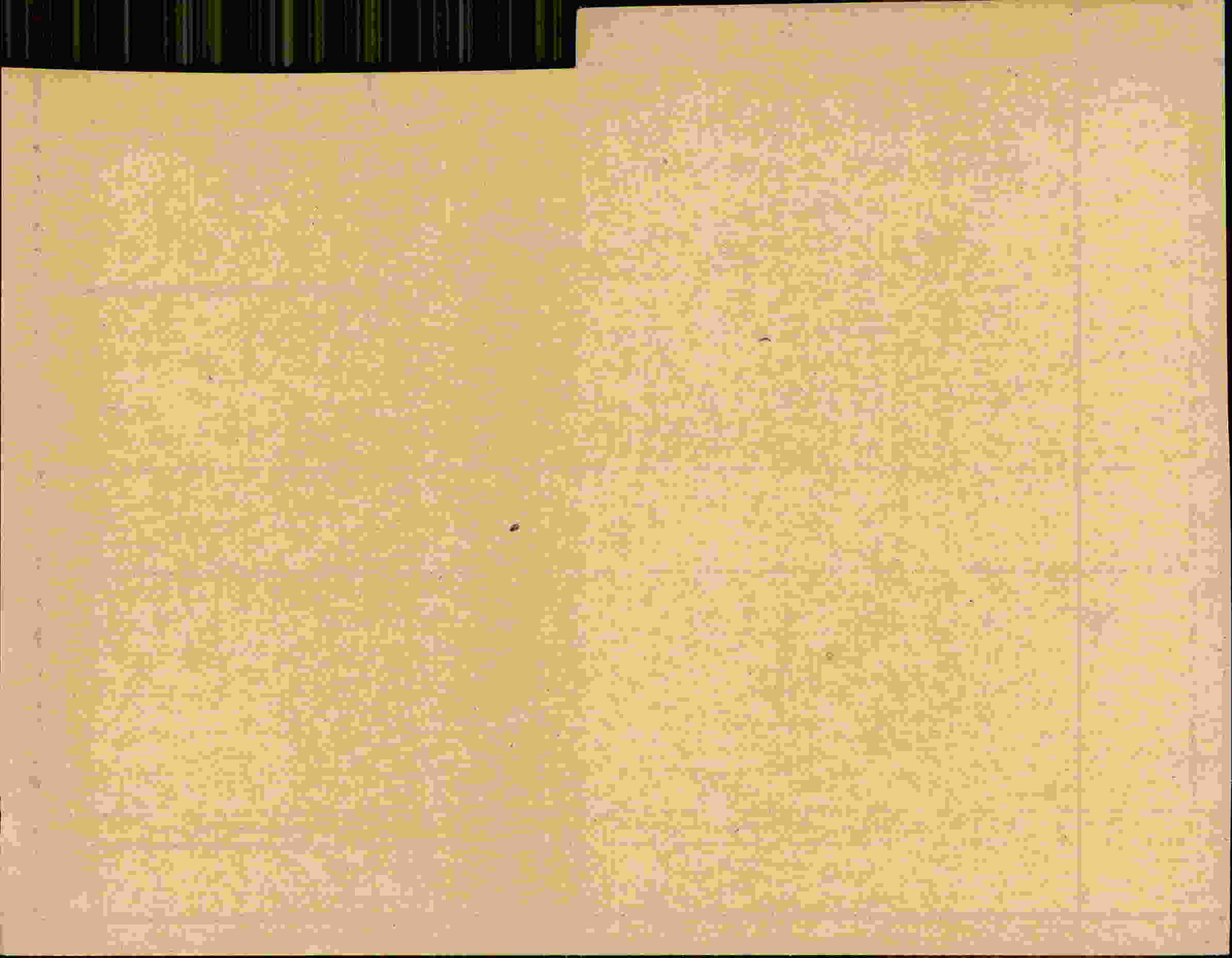 Rückseite des Dokuments