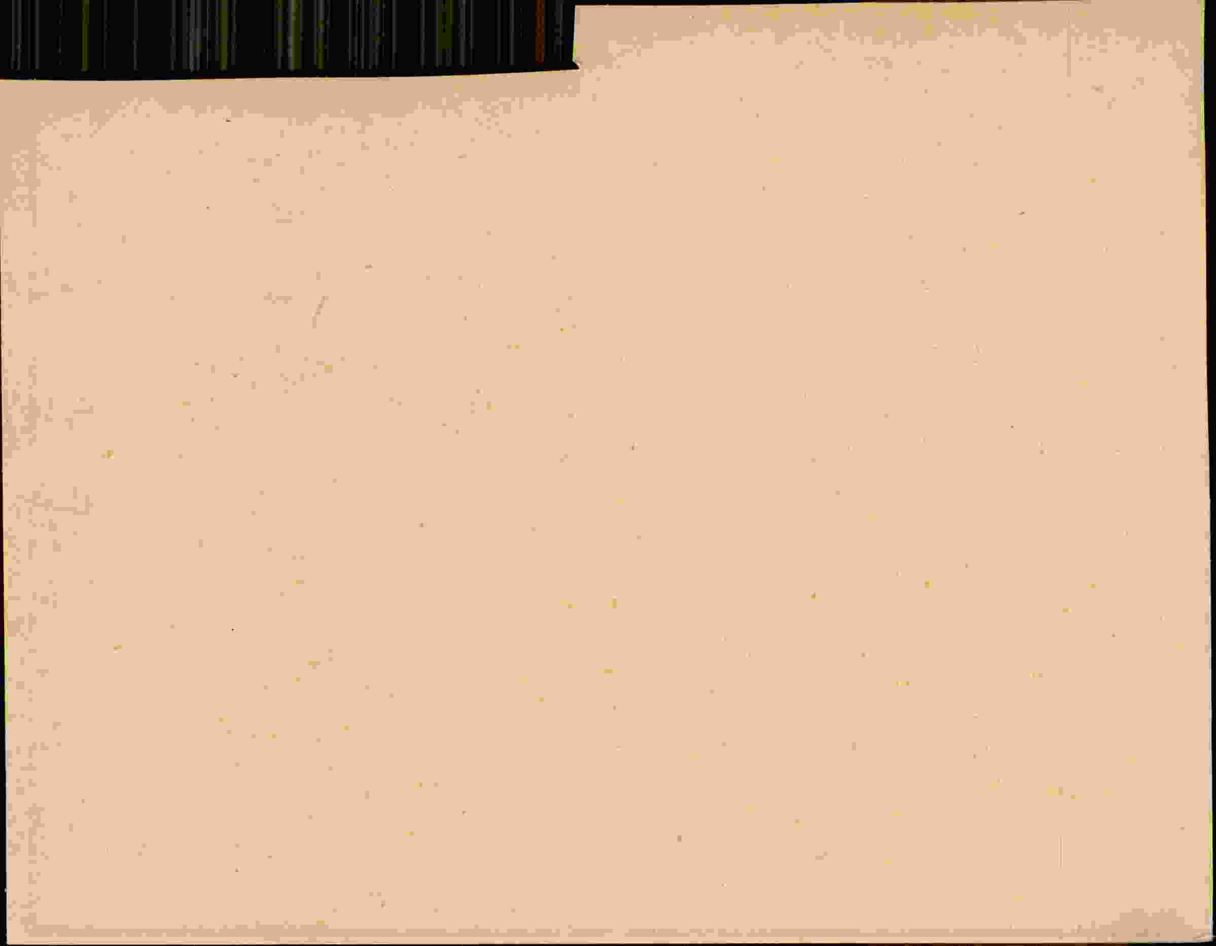 Rückseite des Dokuments
