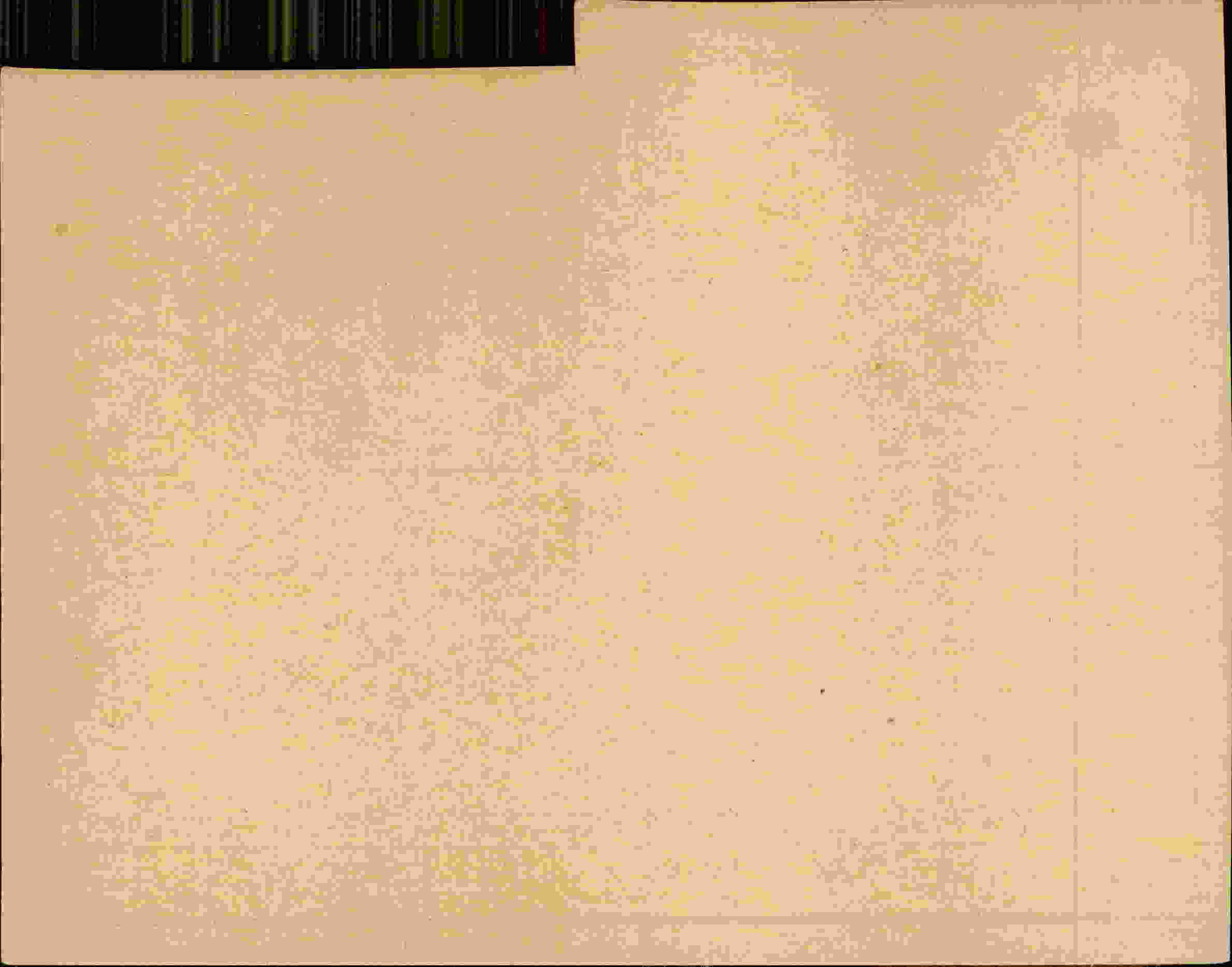 Rückseite des Dokuments