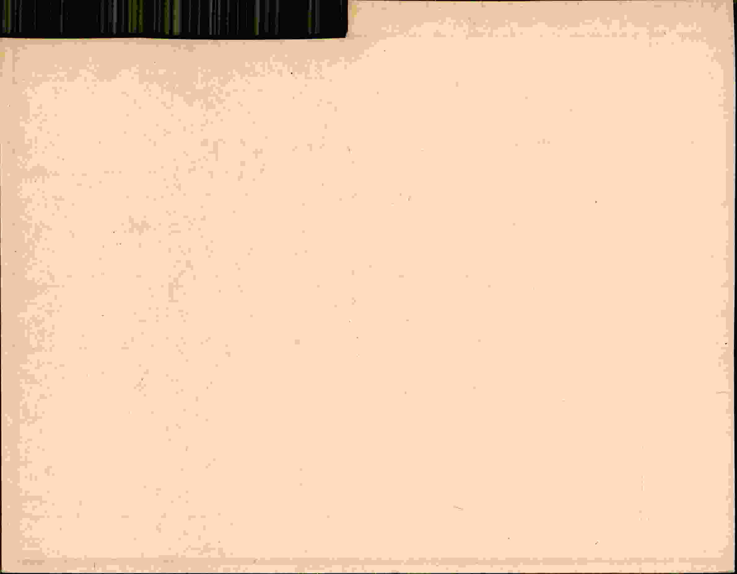 Rückseite des Dokuments