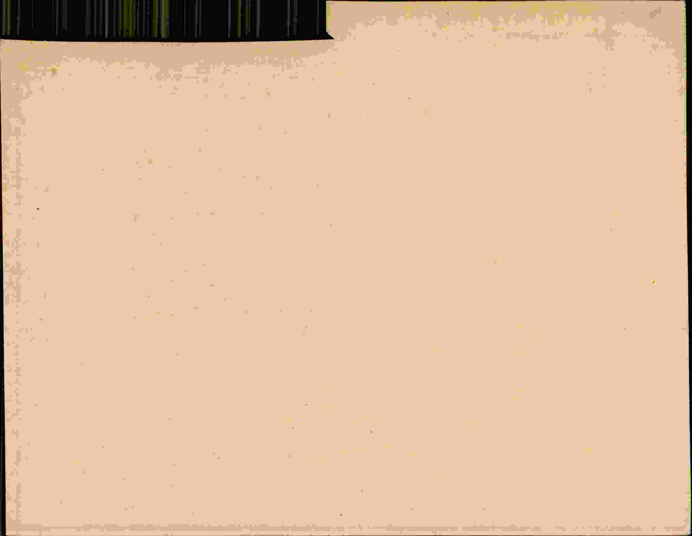 Rückseite des Dokuments