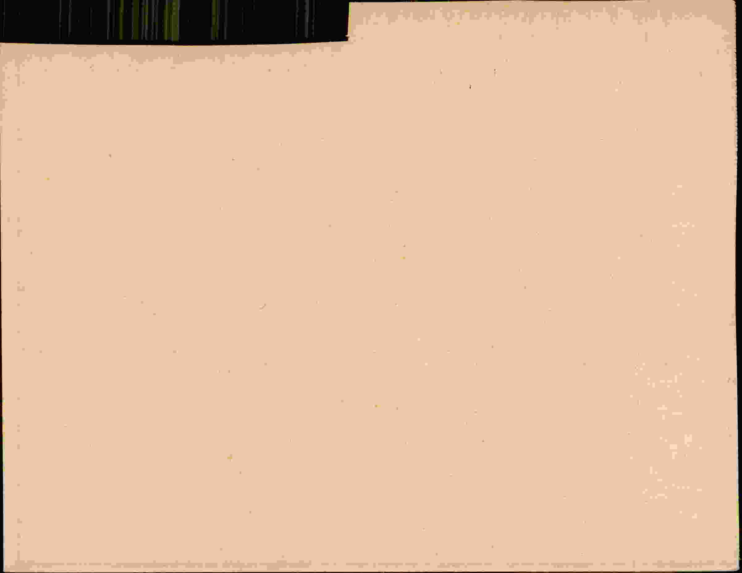 Rückseite des Dokuments