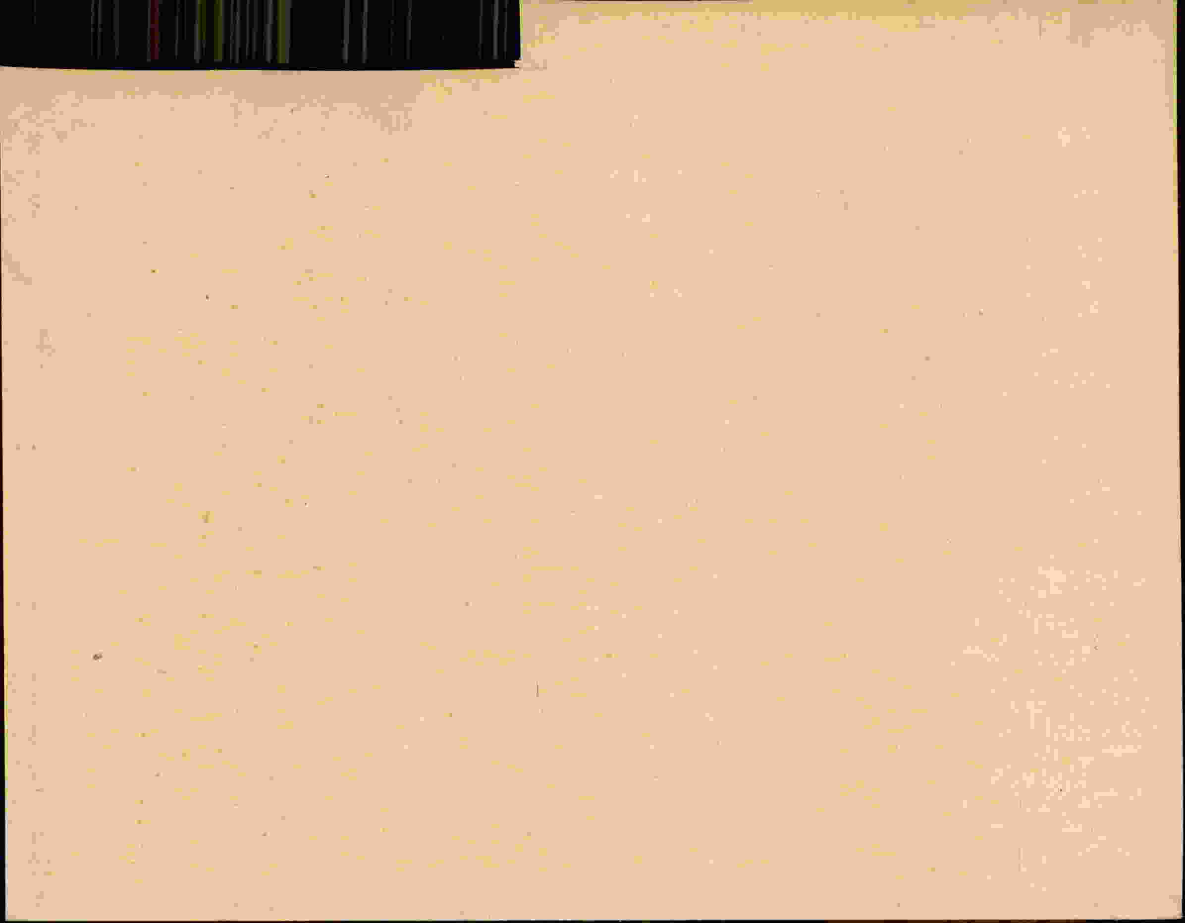Rückseite des Dokuments