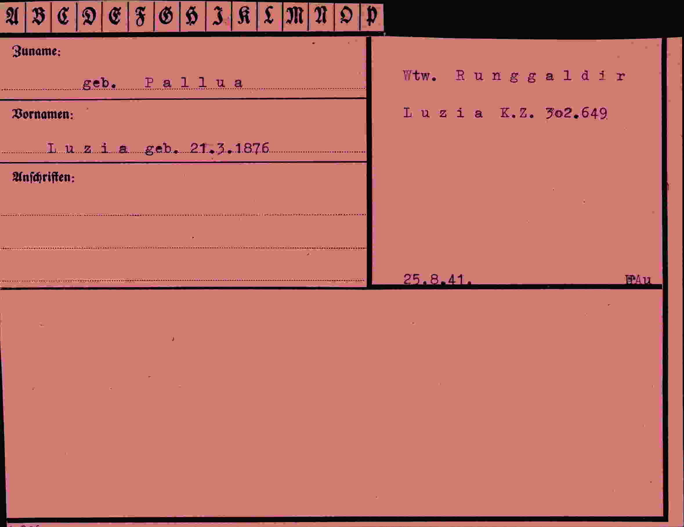 Dokument für Luzia Pallua