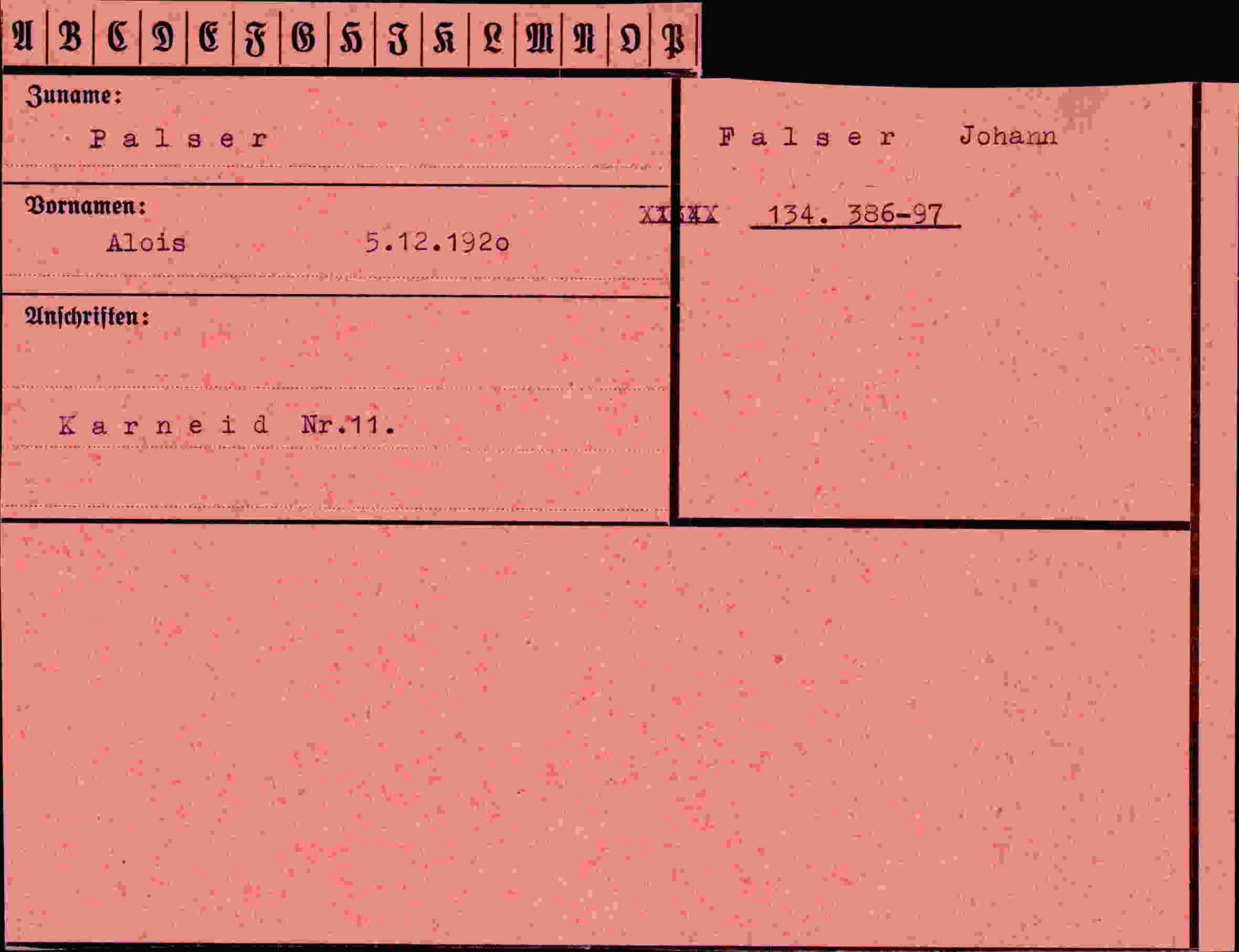 Dokument für Alois Palser