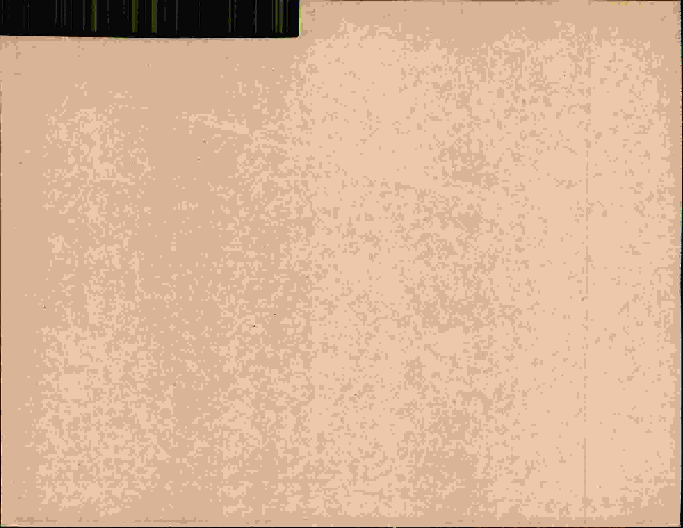 Rückseite des Dokuments