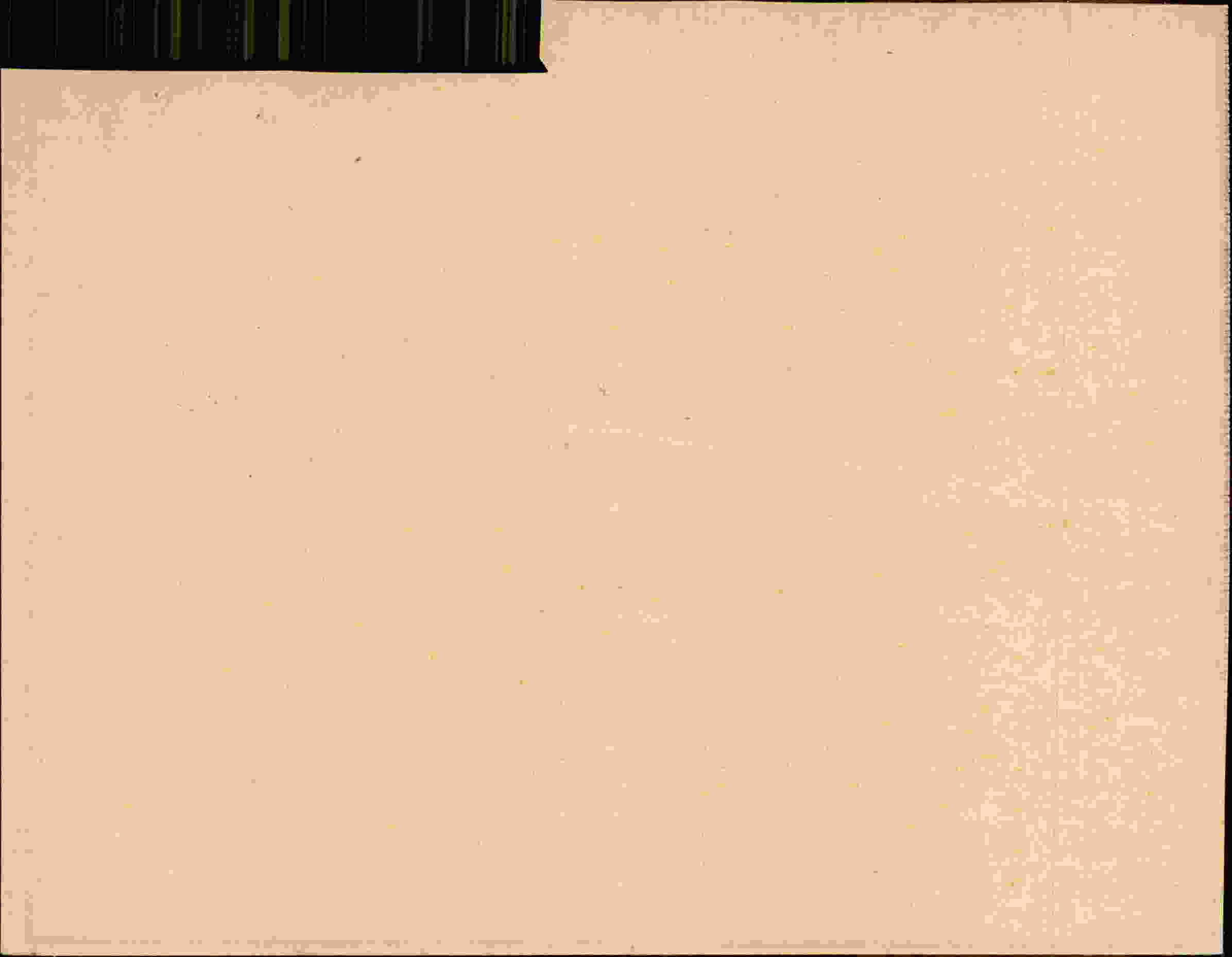 Rückseite des Dokuments