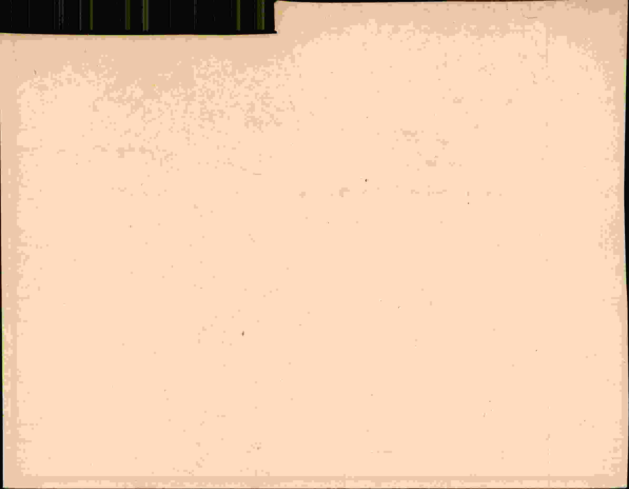 Rückseite des Dokuments