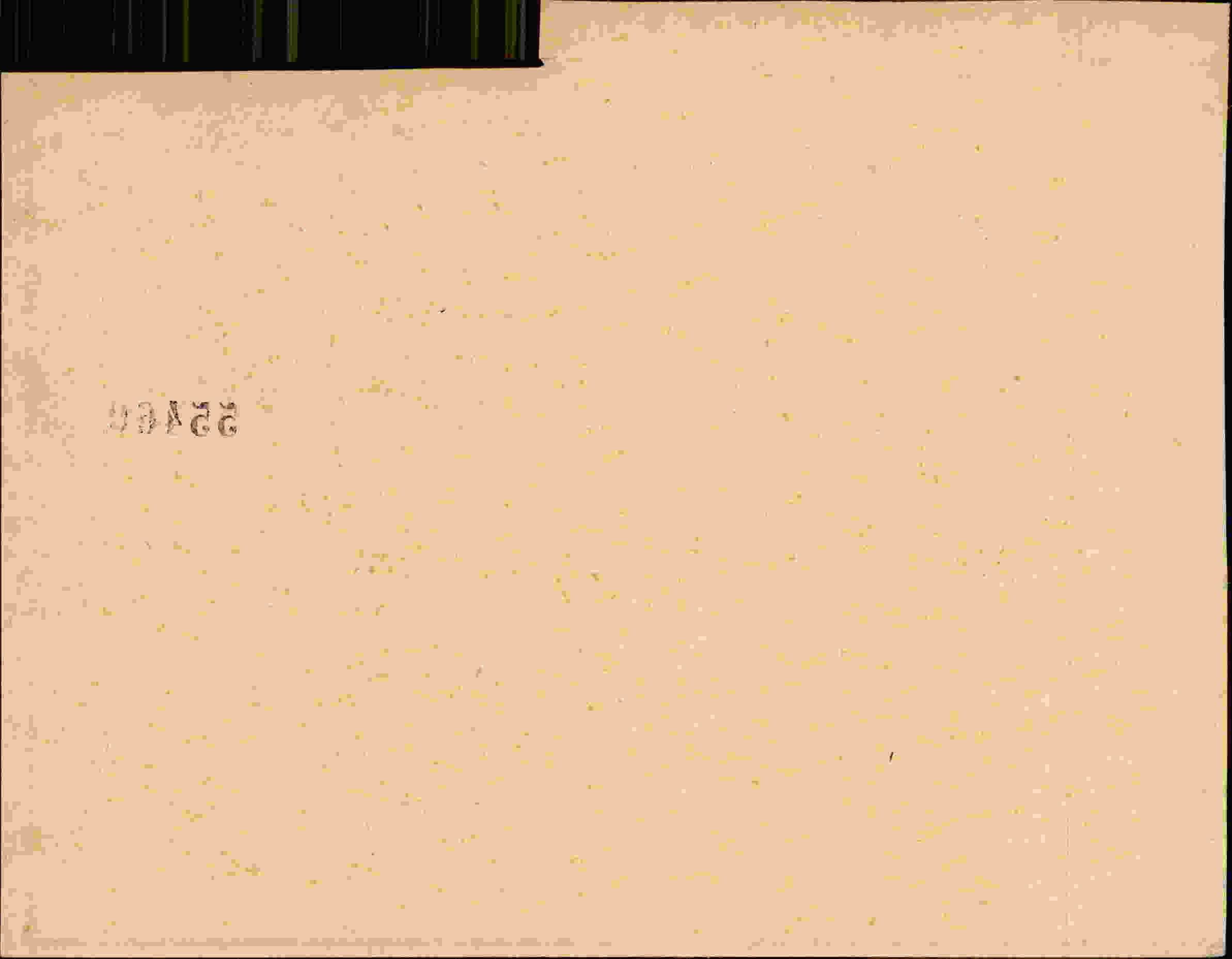 Rückseite des Dokuments