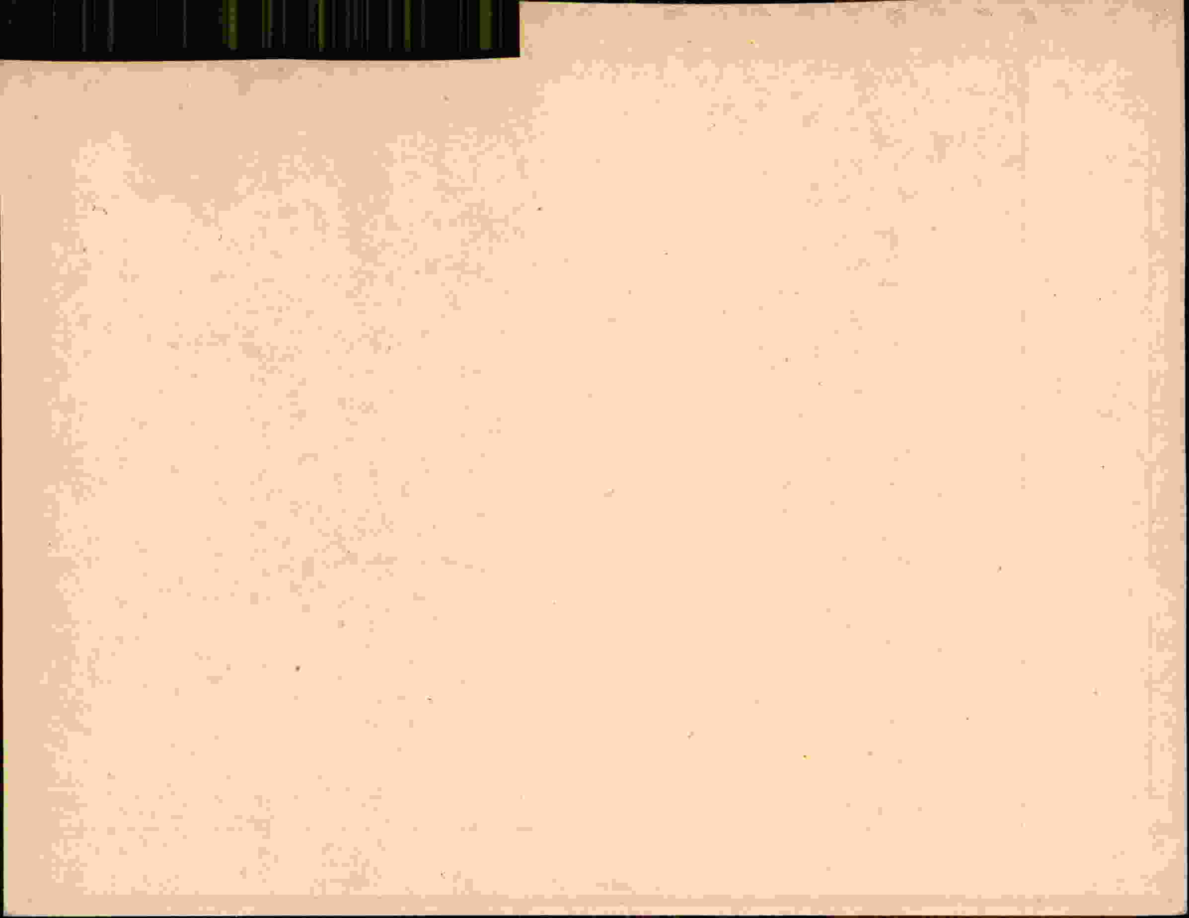 Rückseite des Dokuments