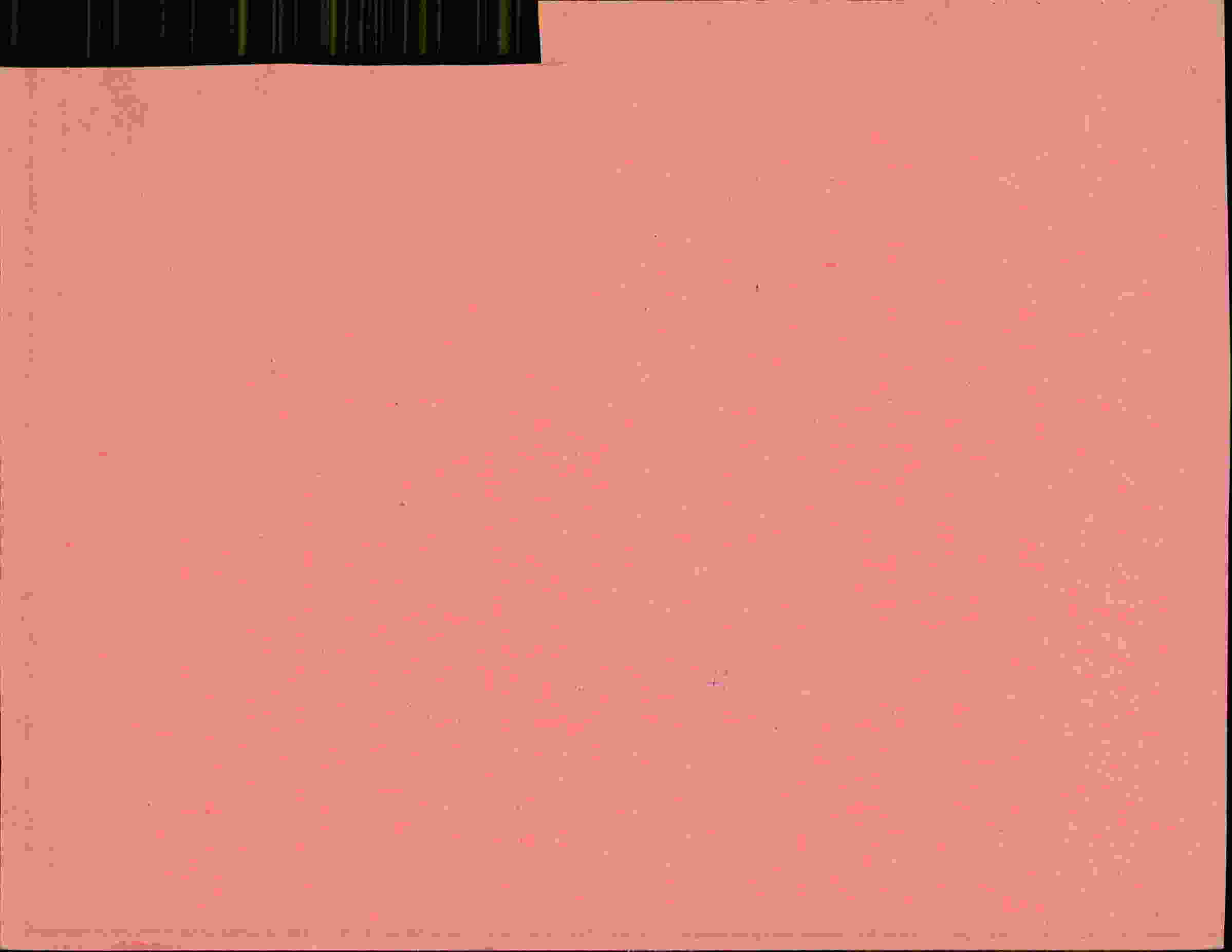 Rückseite des Dokuments