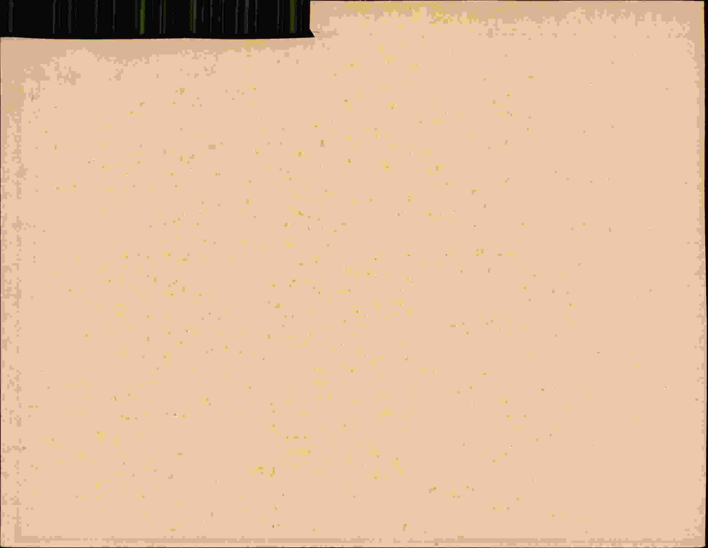 Rückseite des Dokuments