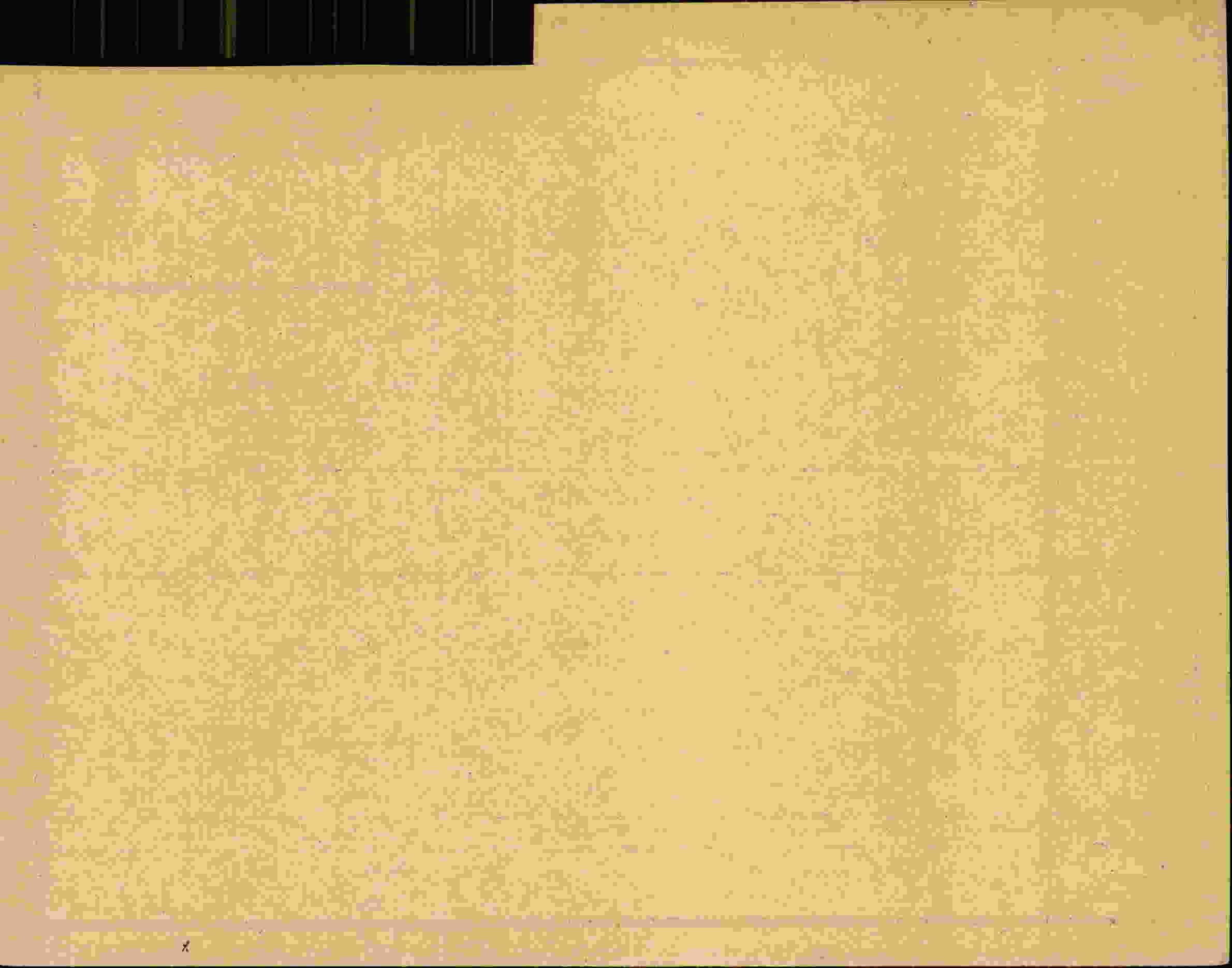 Rückseite des Dokuments