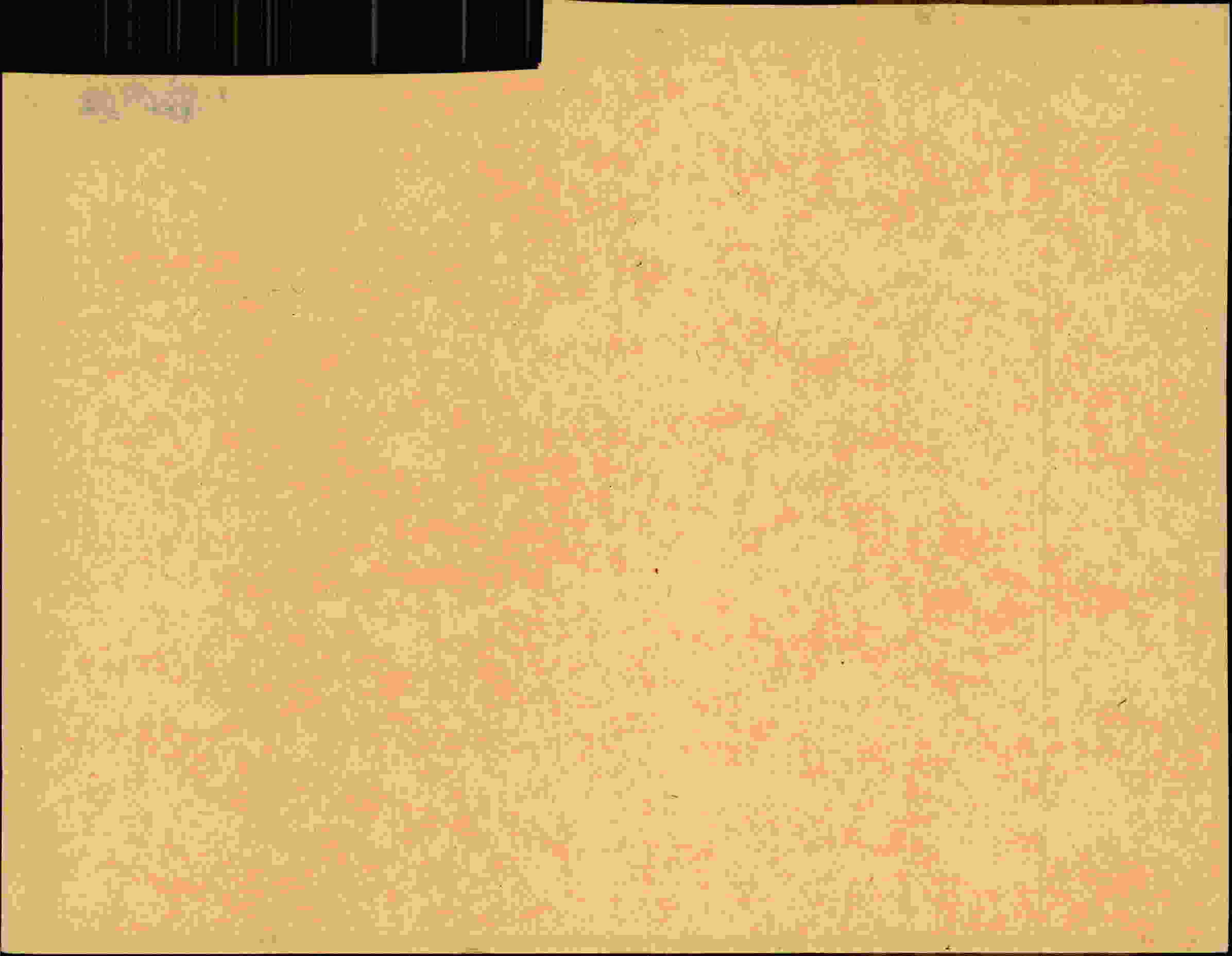 Rückseite