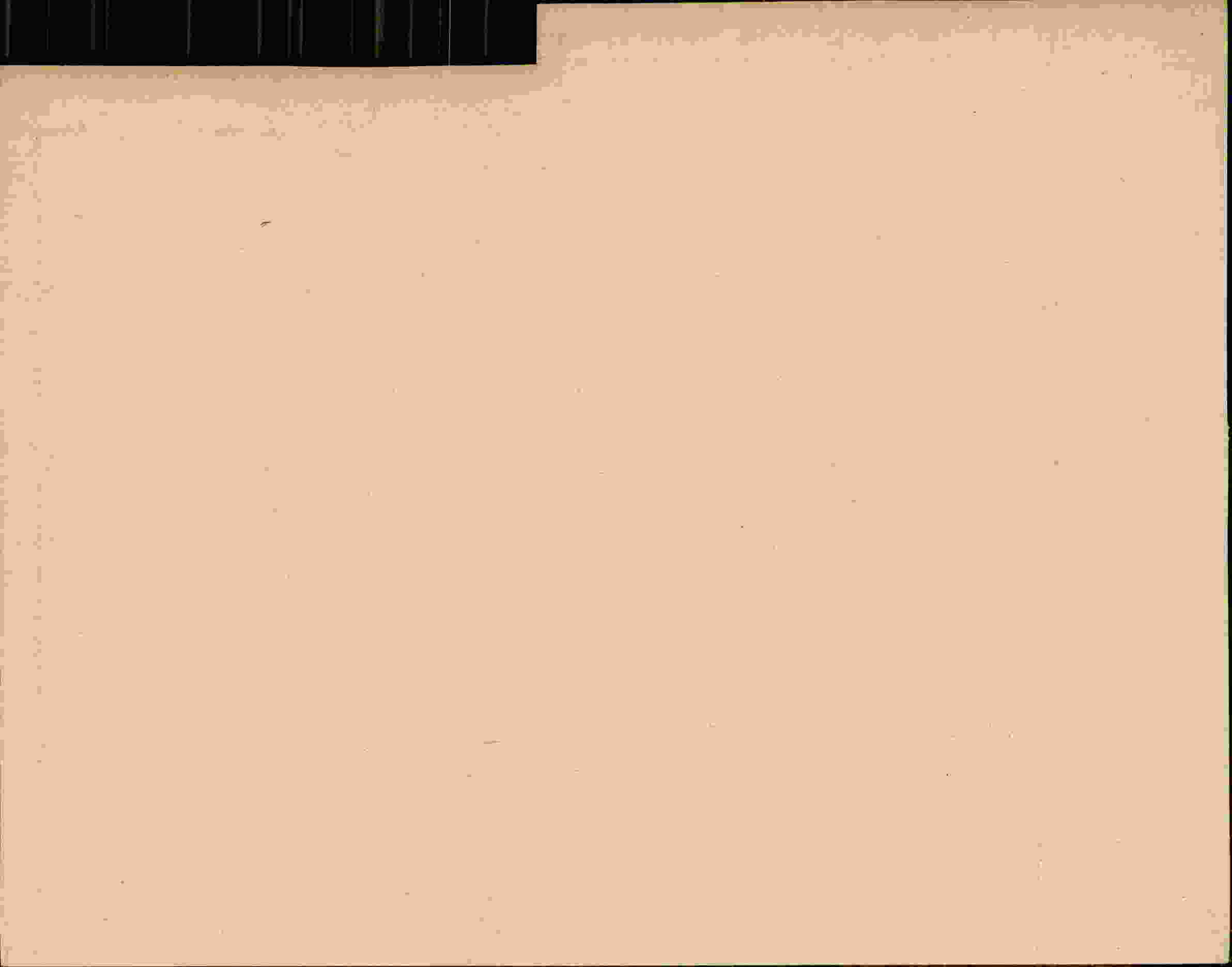 Rückseite des Dokuments