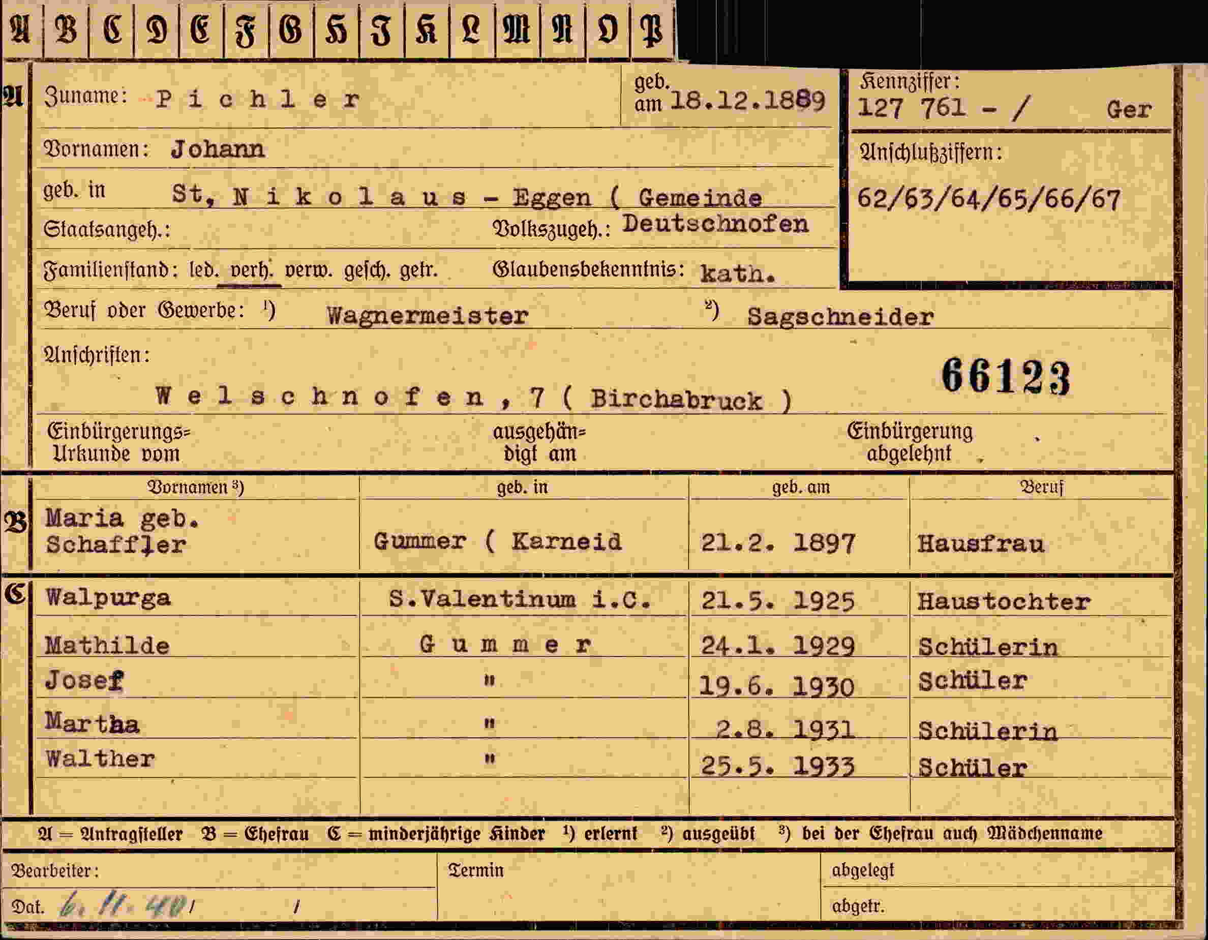 Dokument für Johann Pichler